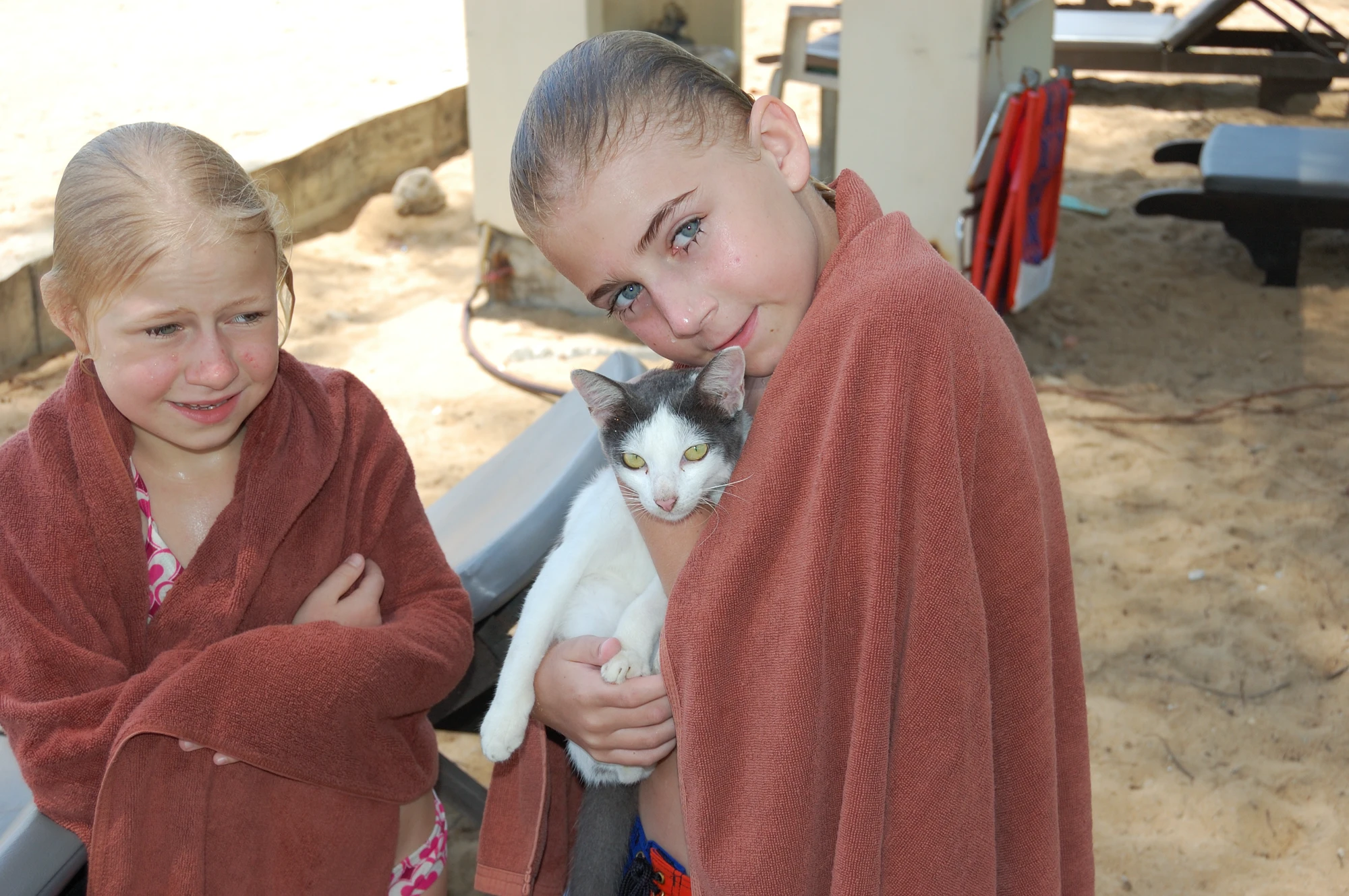 Elli, Guggi och katt Elli, Guggi och katt
