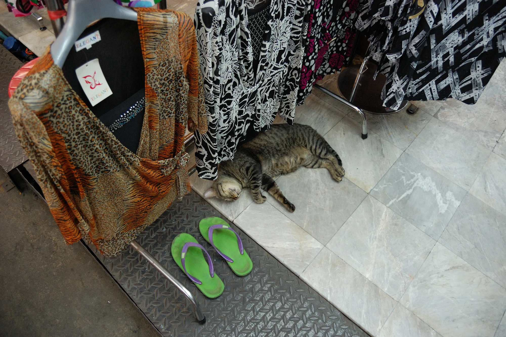 Trött katt vid någon shoppinggata Trött katt vid någon shoppinggata