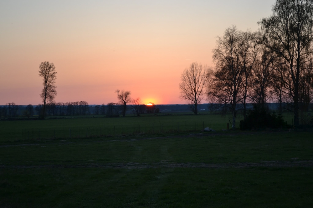 DSC 0253