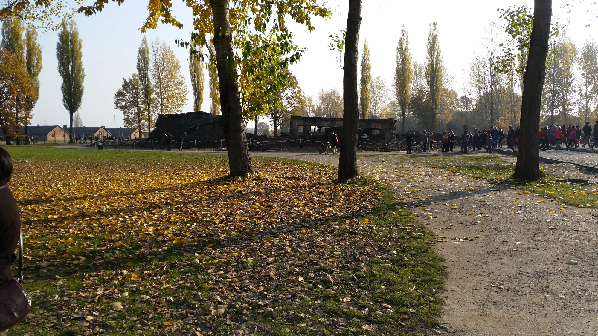 Ruinerna av Krematorium III Ruinerna av Krematorium III
