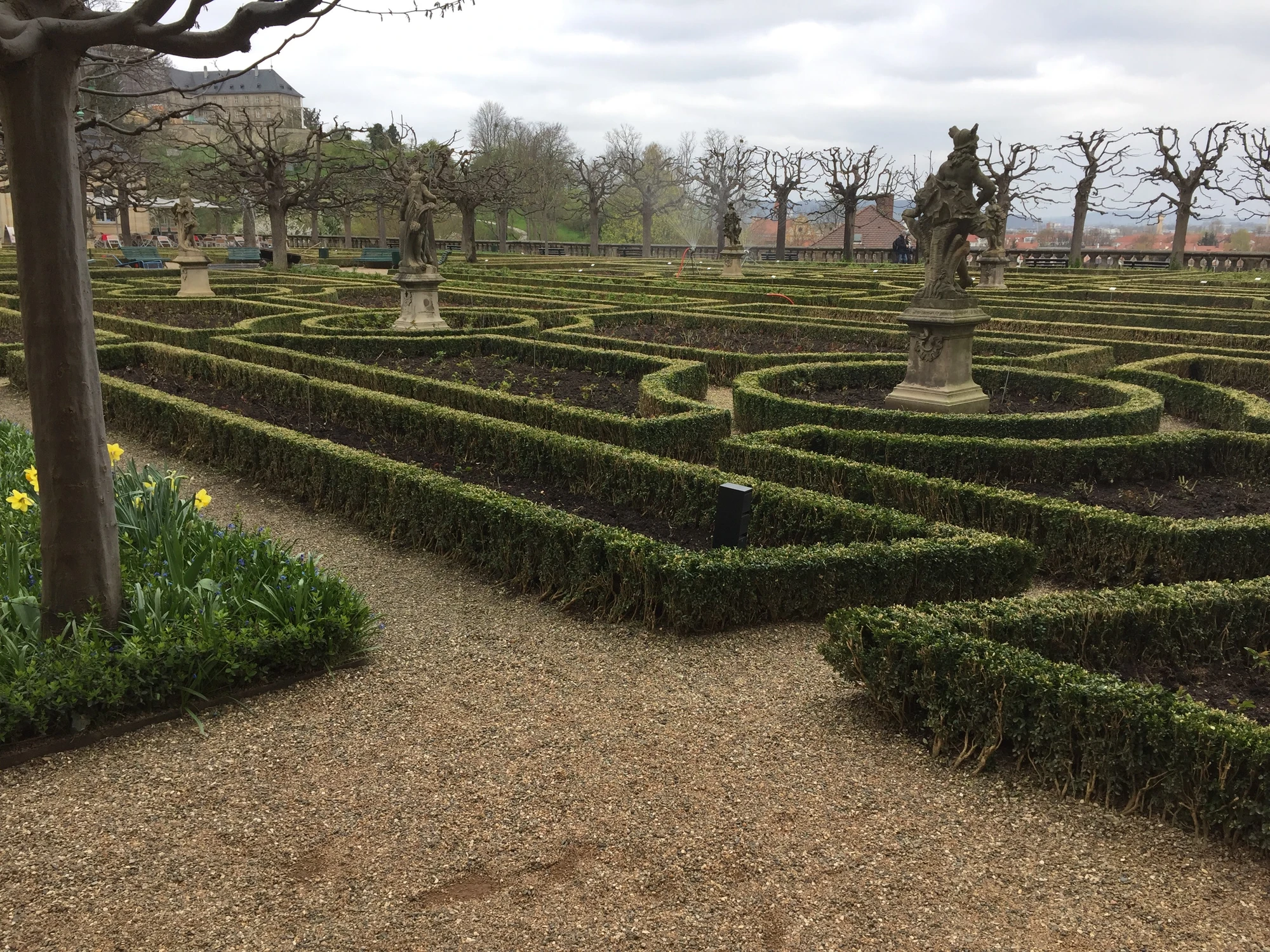 Rosengarten i Bamberg