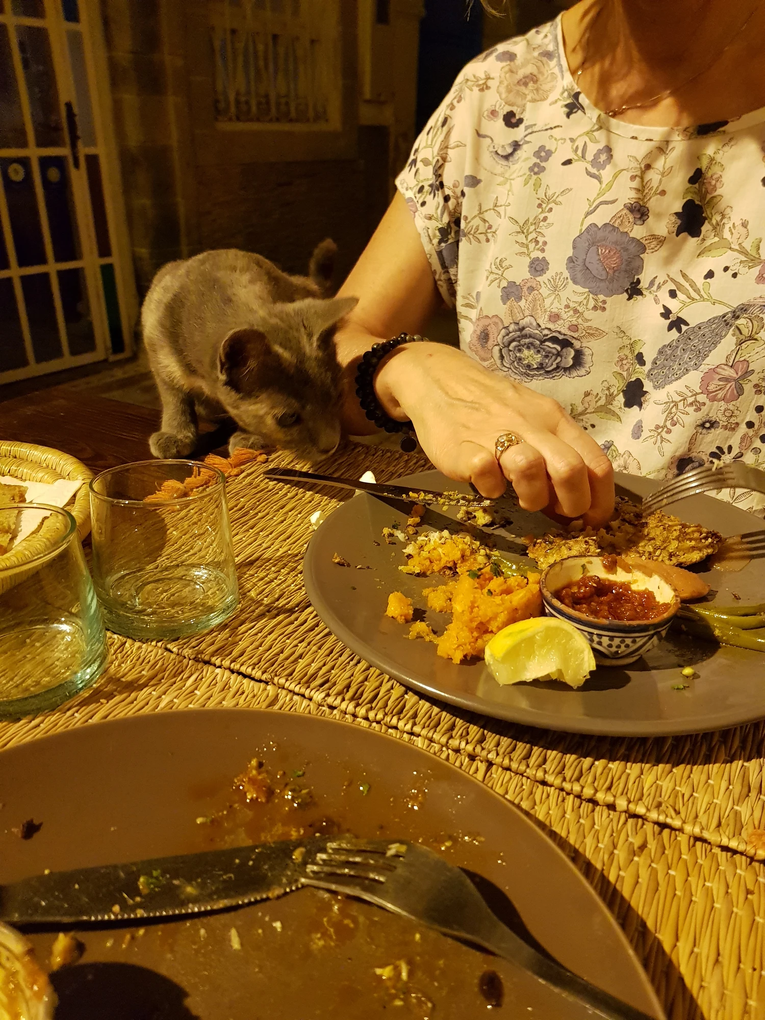 En väldigt hungrig katt vid middagen den första kvällen
