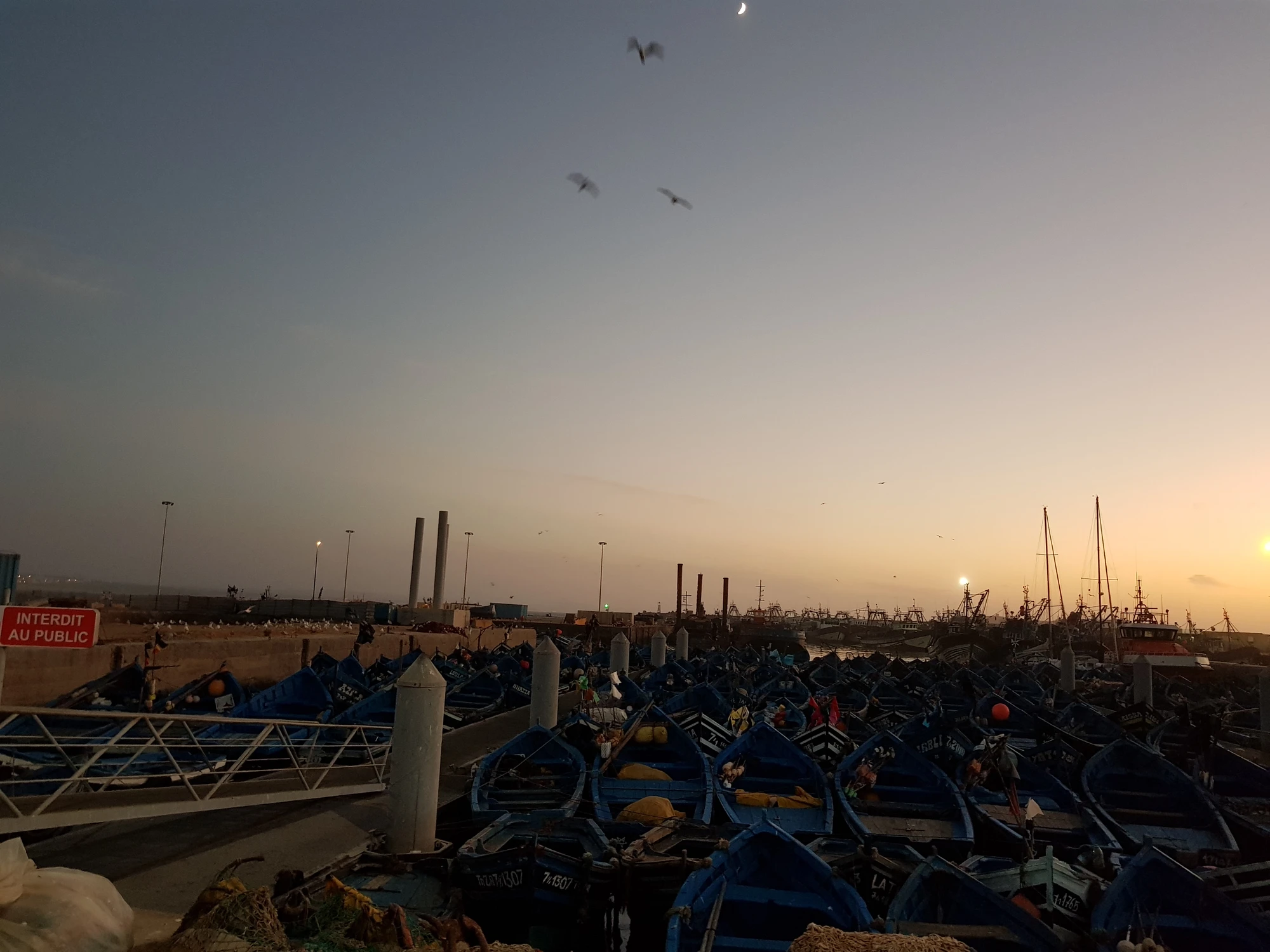 Solnedgång Essaouira