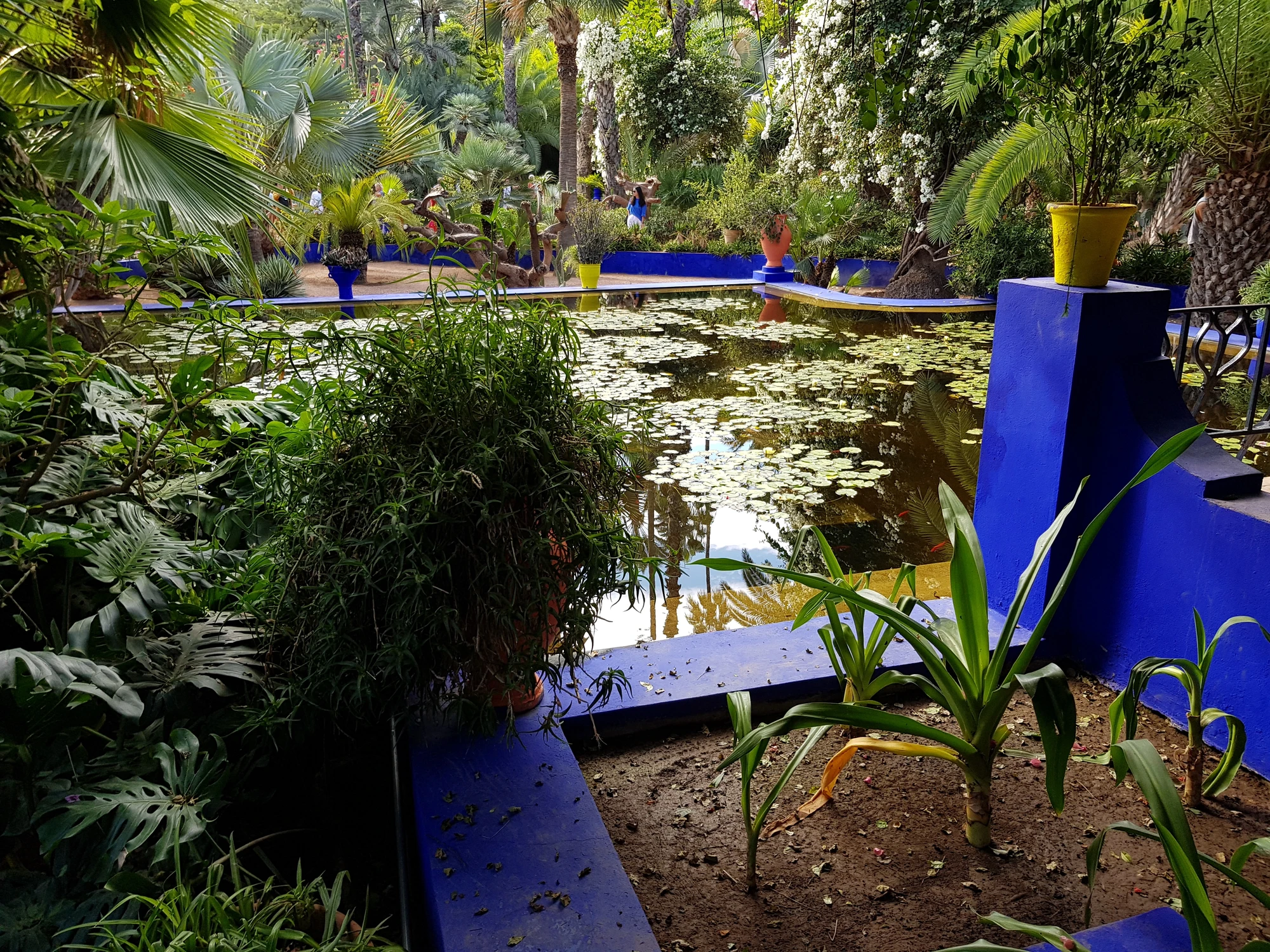 Jardin Majorelle