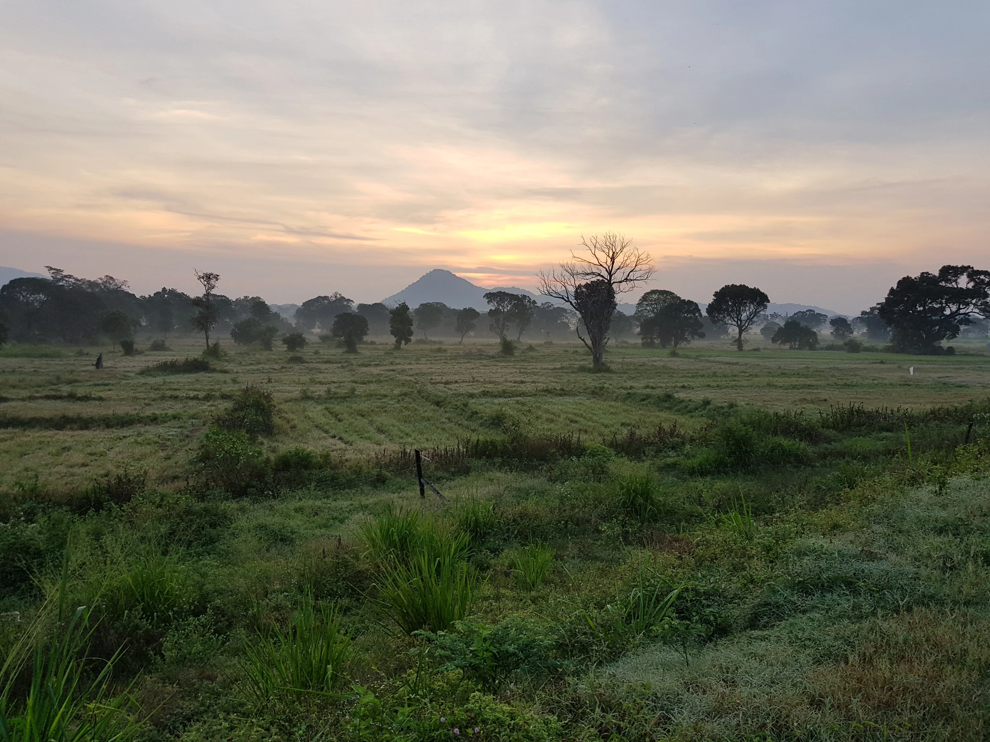 Vacker avslutningsbild morgonen vi drog därifrån