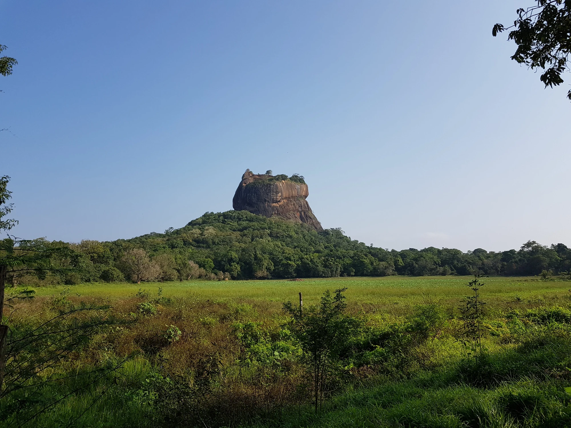Sigiriya, en ganska rejäl promenad upp till toppen. Sigiriya, en ganska rejäl promenad upp till toppen.