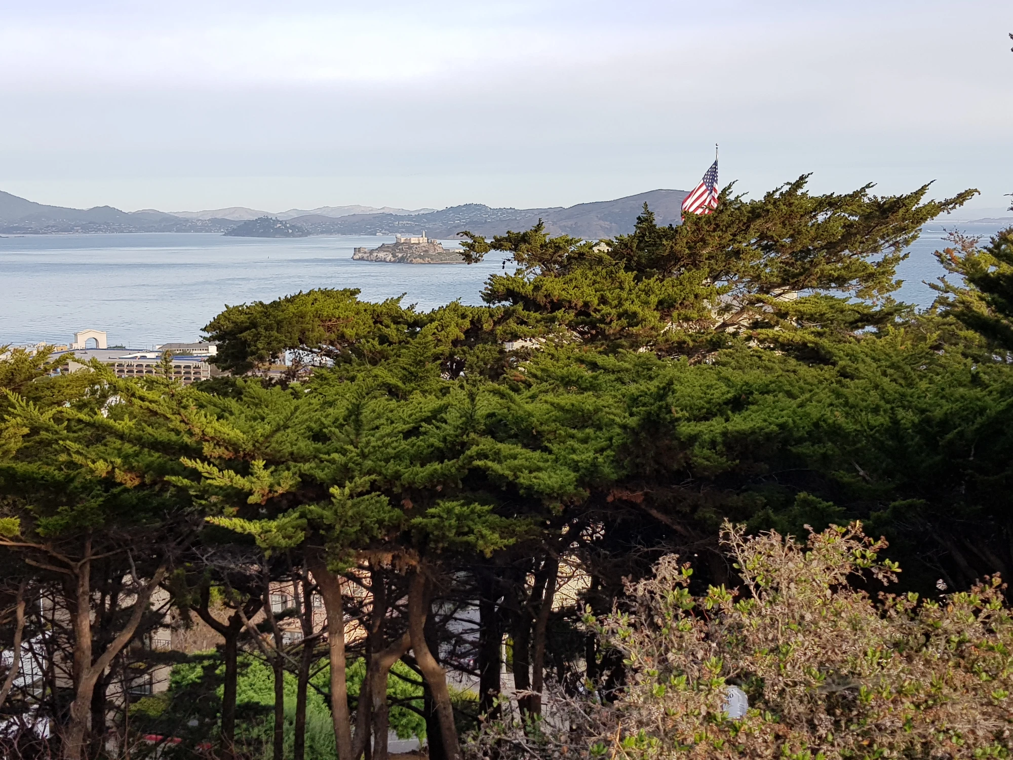 Vy från Pioneer Park med Alcatraz i bakgrunden Vy från Pioneer Park med Alcatraz i bakgrunden