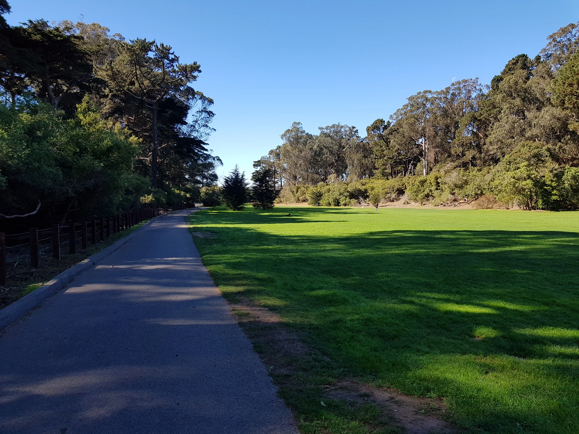 Golden Gate Park. Jag var så tidig, så det var ganska tomt med folk Golden Gate Park. Jag var så tidig, så det var ganska tomt med folk