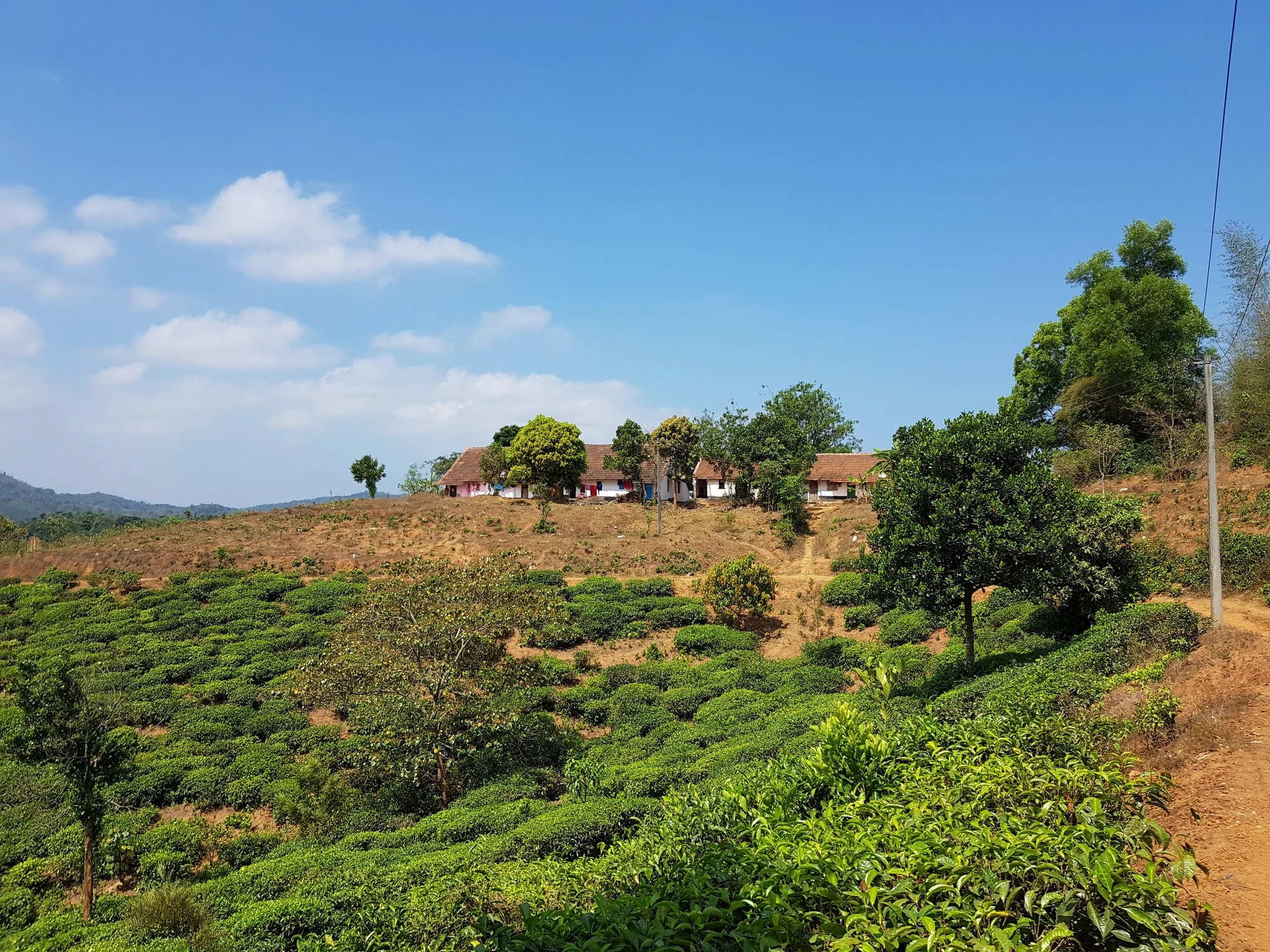 Thalappuzha2020 20200311 104506