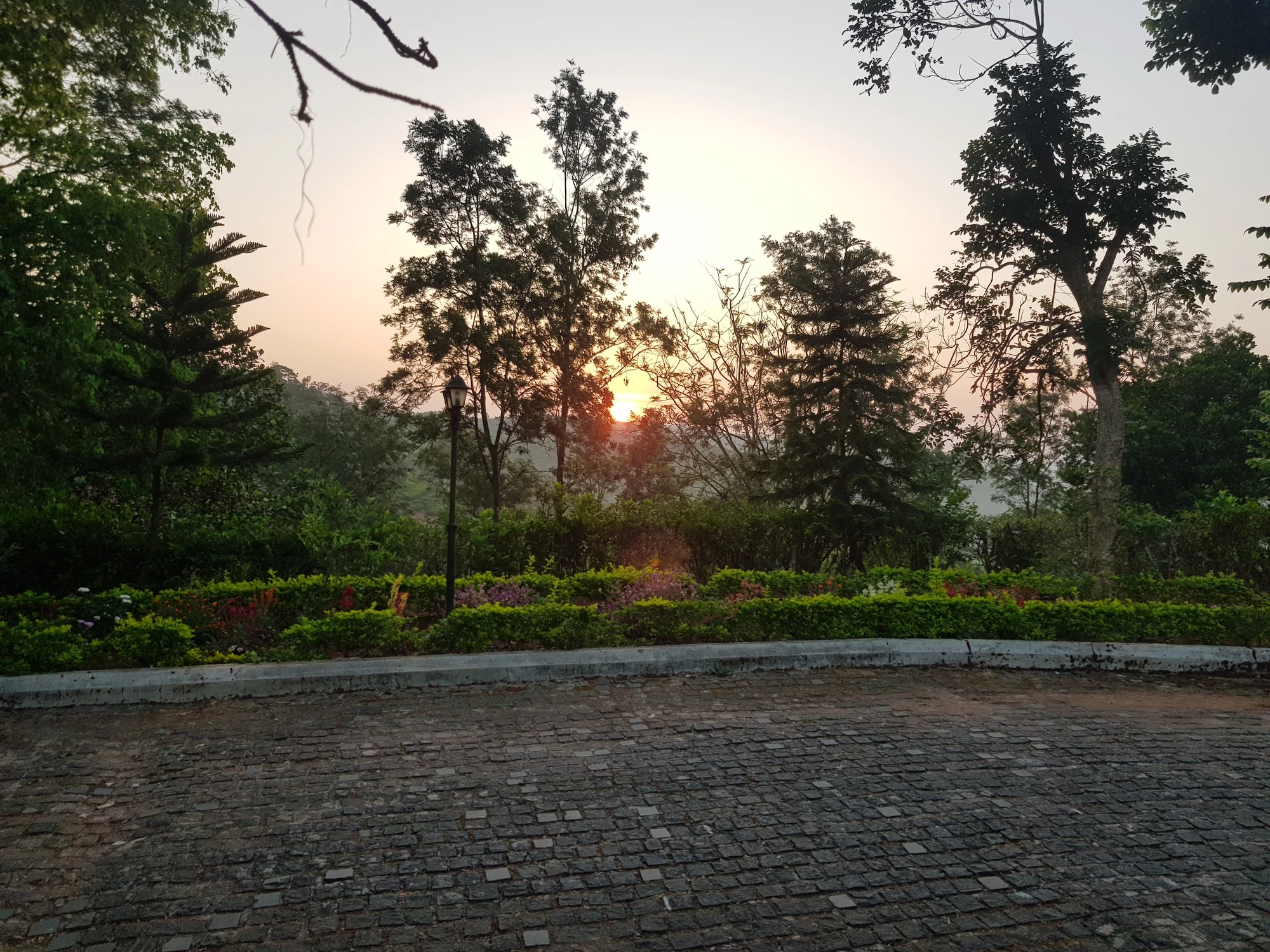 Thalappuzha2020 20200312 064619