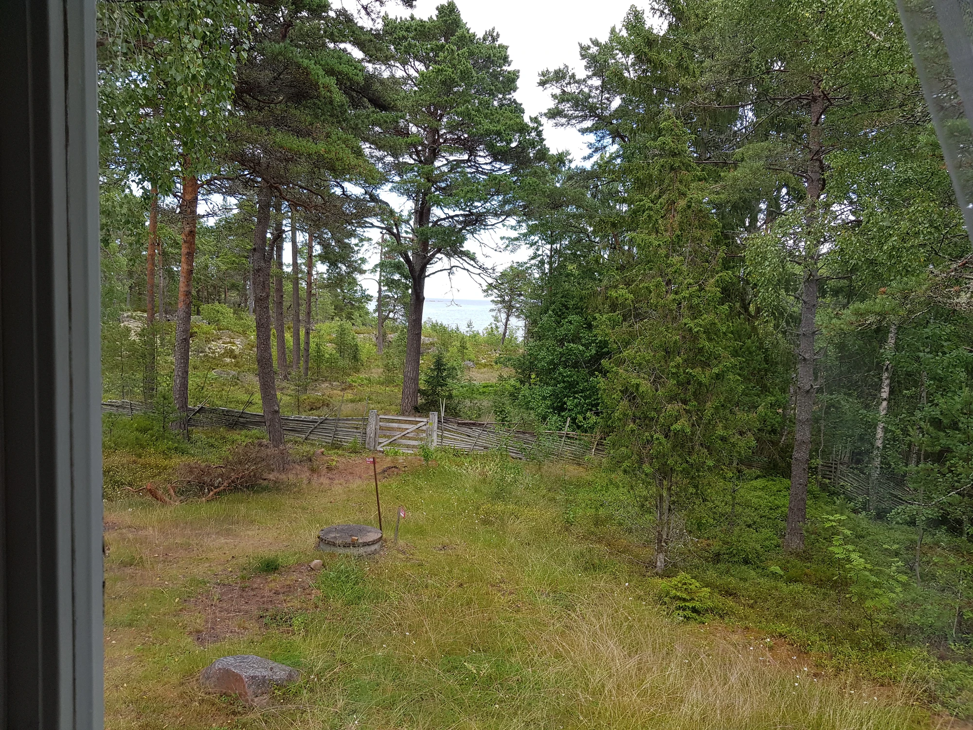 Grisslehamn2020 20200712 155609