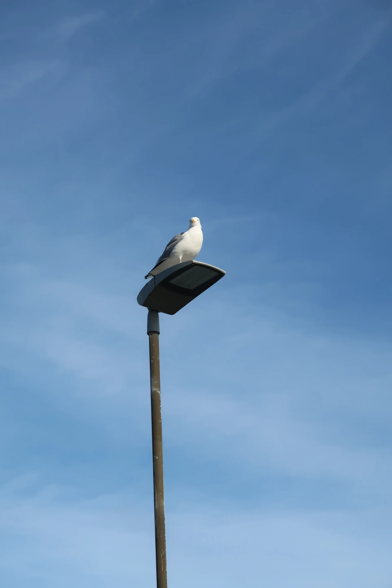 Gbg20210320162639 IMG 0628