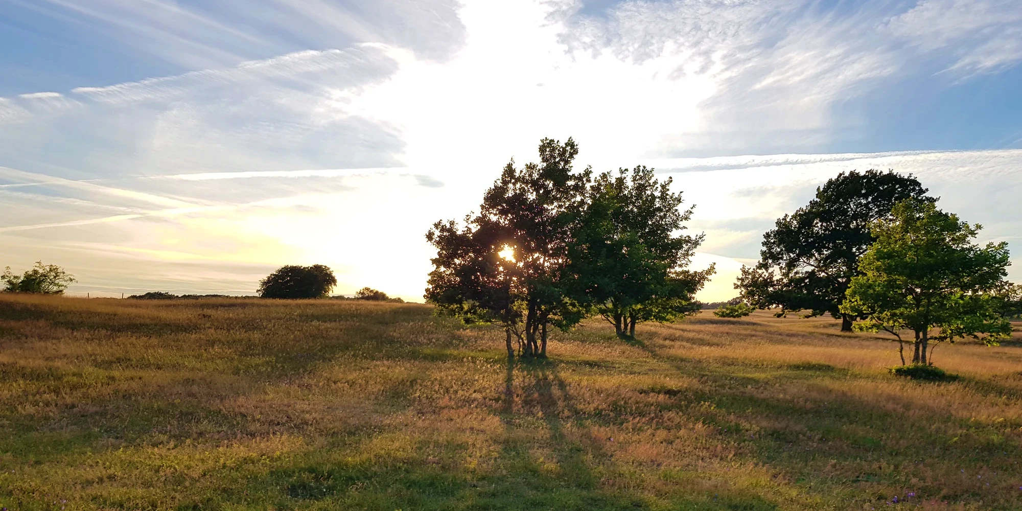 Skåne/Haväng 10-19 Juli