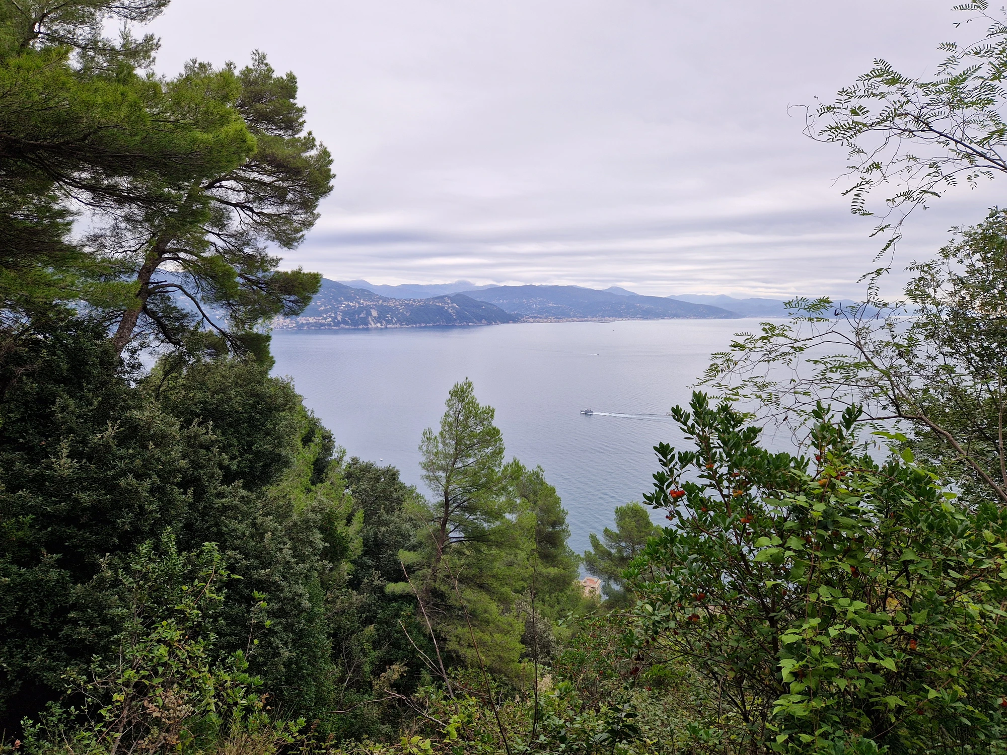 San Martinique till Portofino