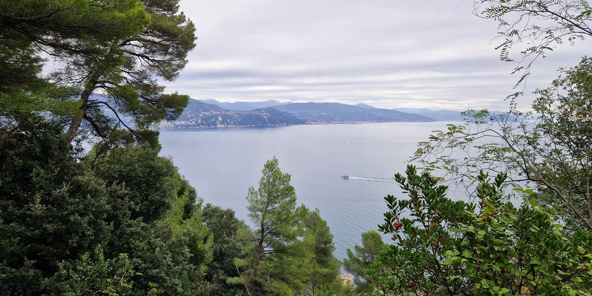 Santa Margherita till Portofino