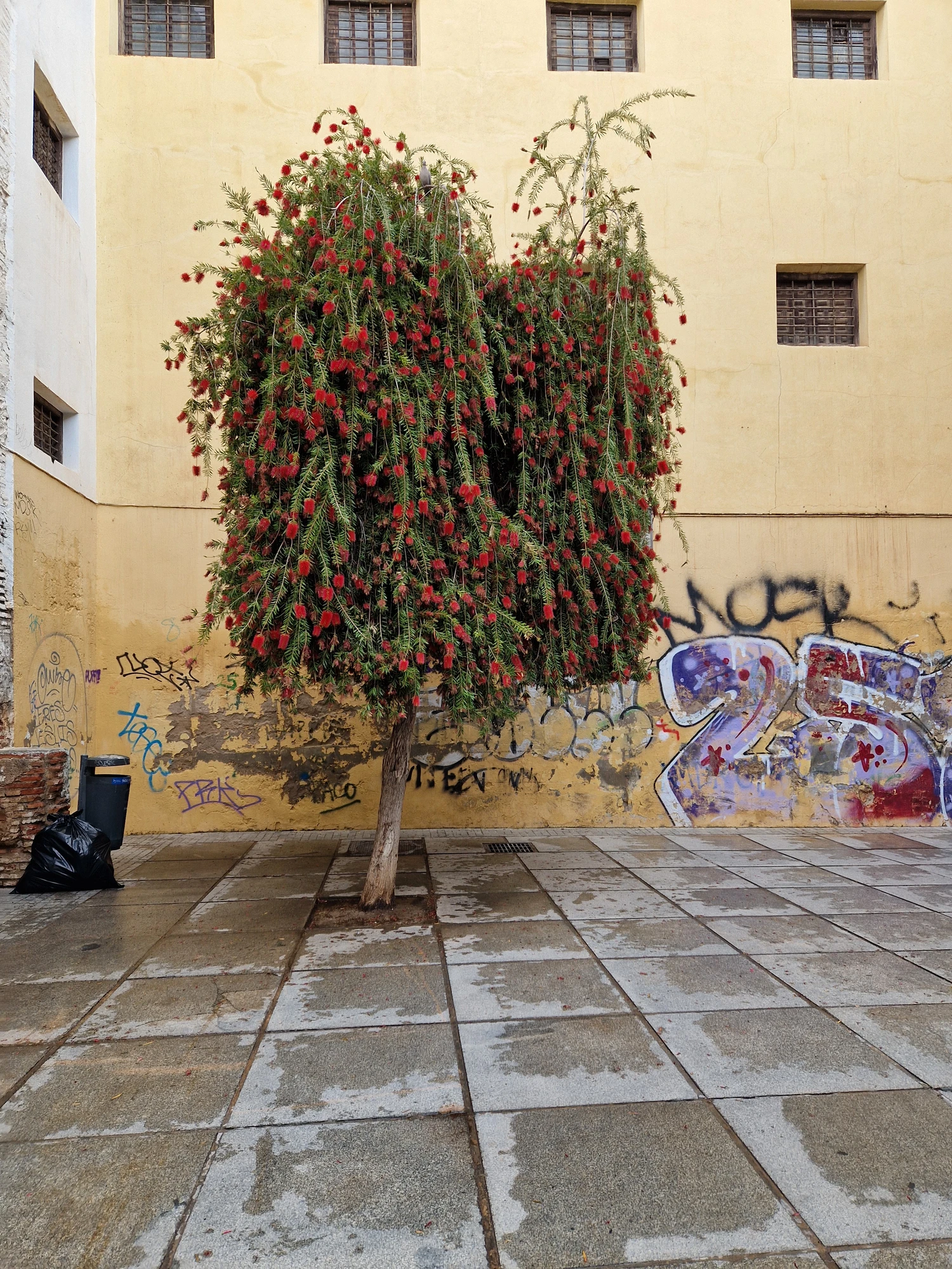 Påsk Malaga