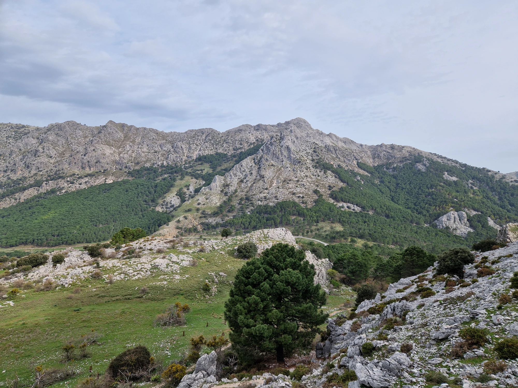 Vandring 1 Grazalema
