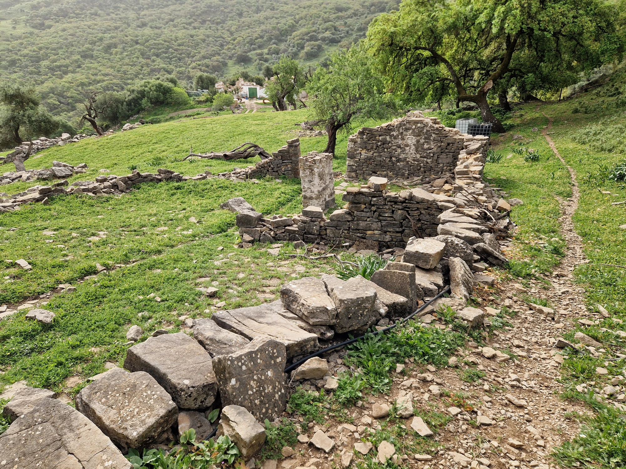 Vandring 3 norr om staden Grazalema