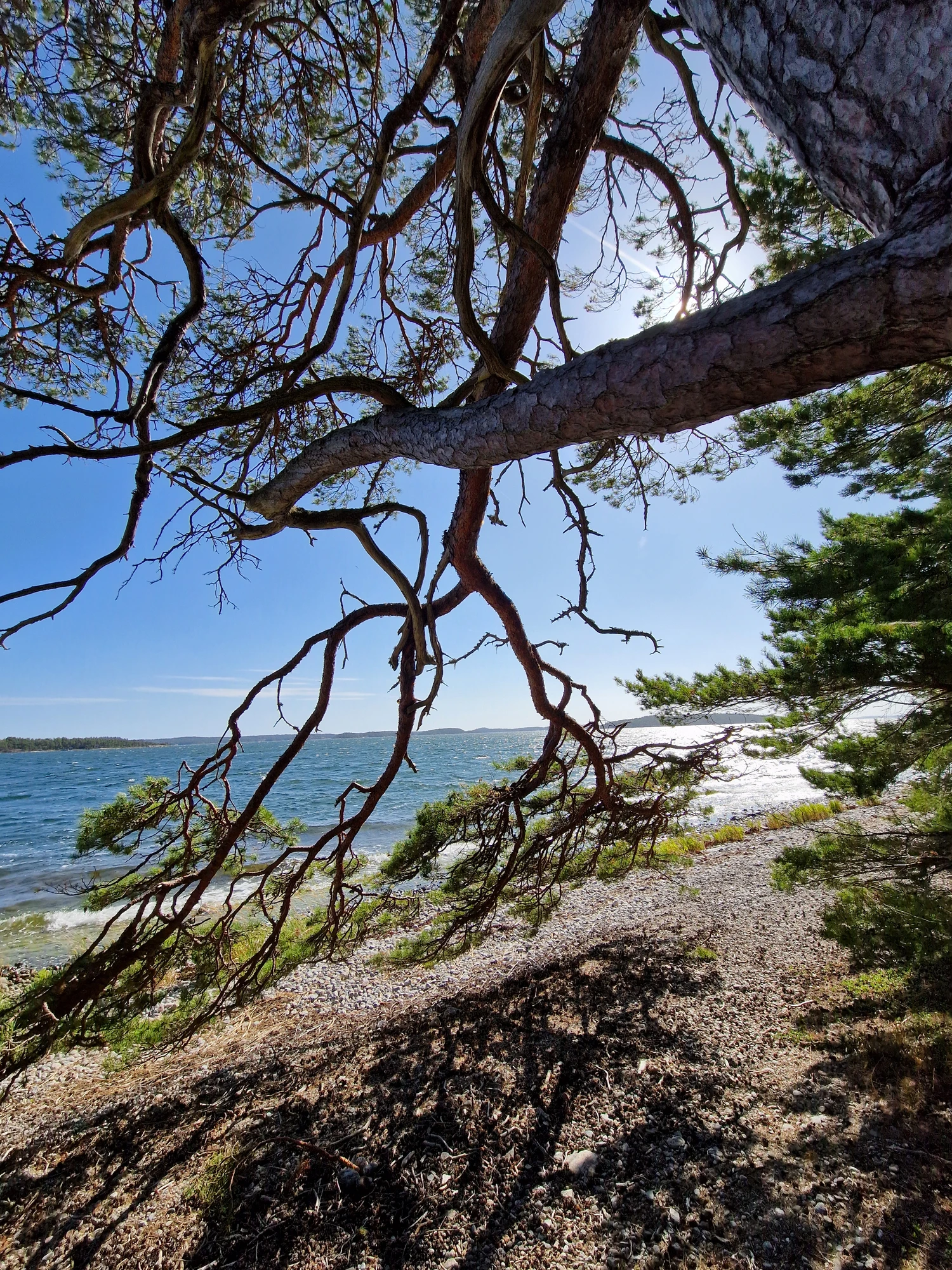 Gålö södra stranden