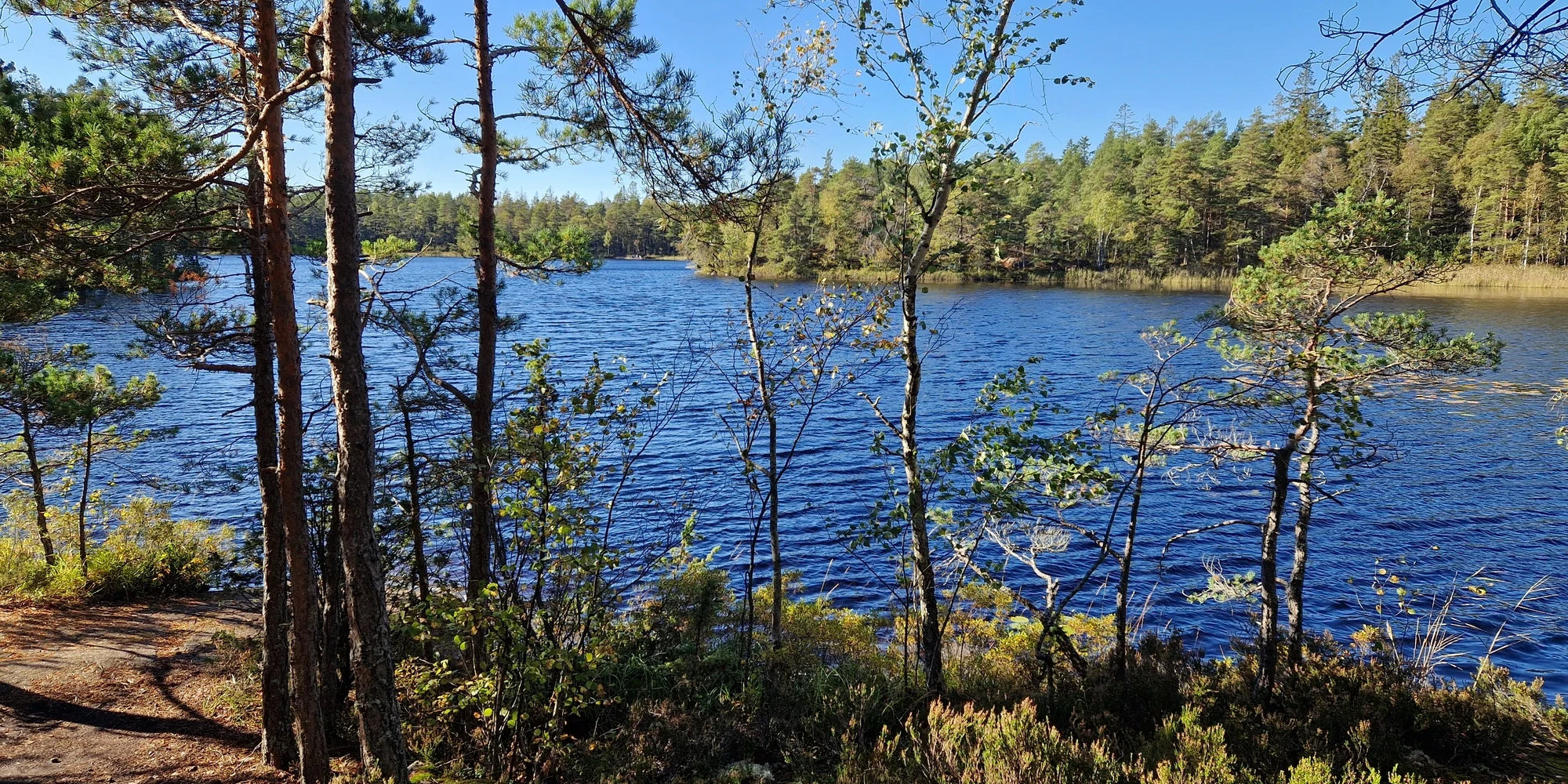 Paradiset