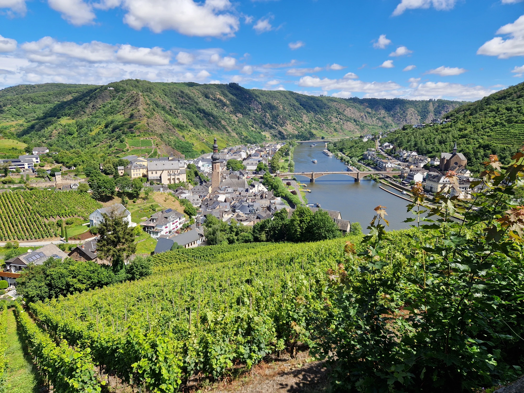 1. Mosel Sammanfattning