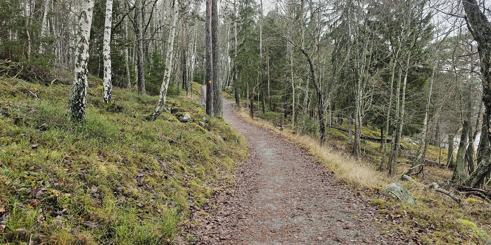 Höstvandring 7