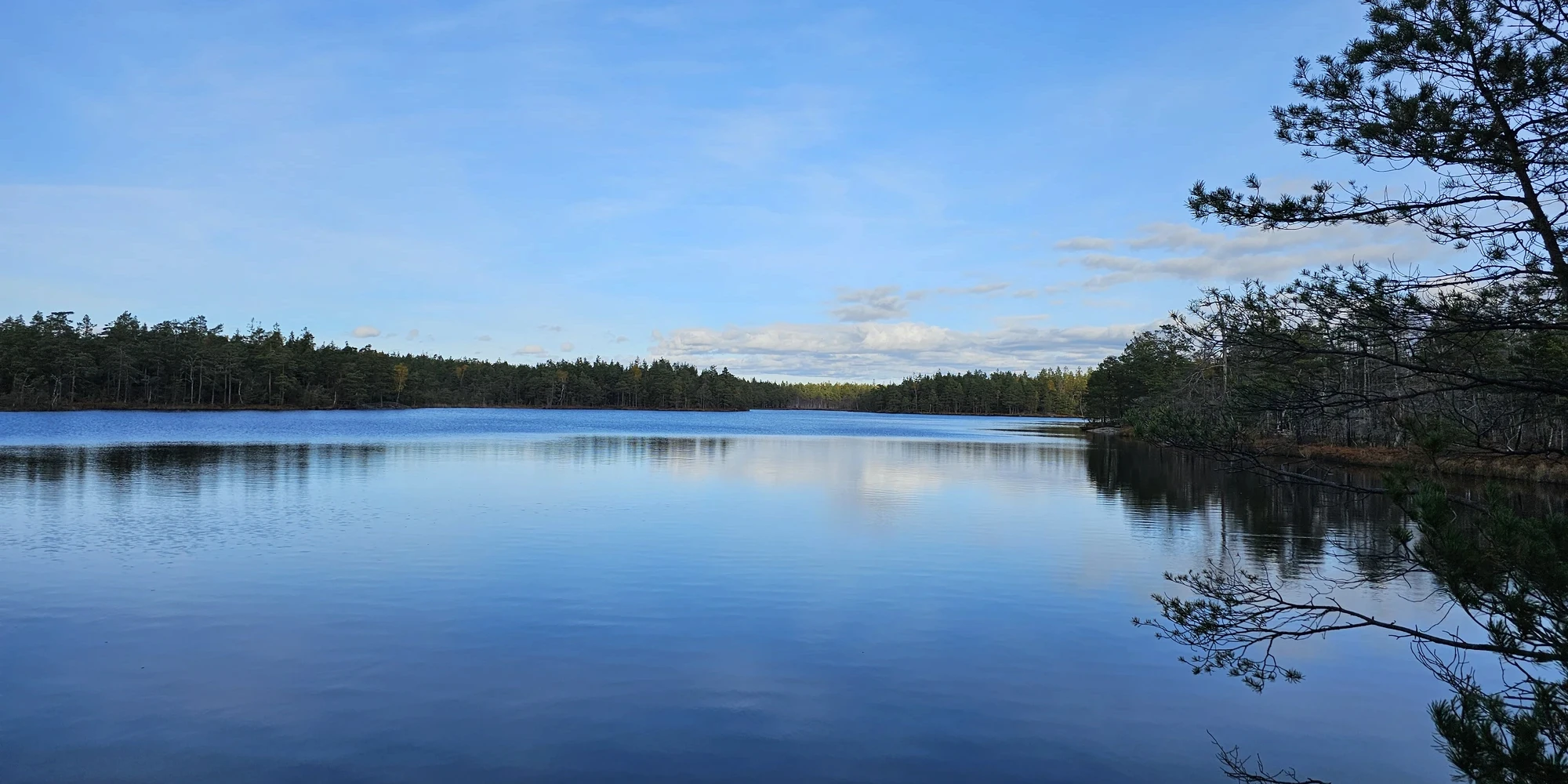 Höstvandring 1