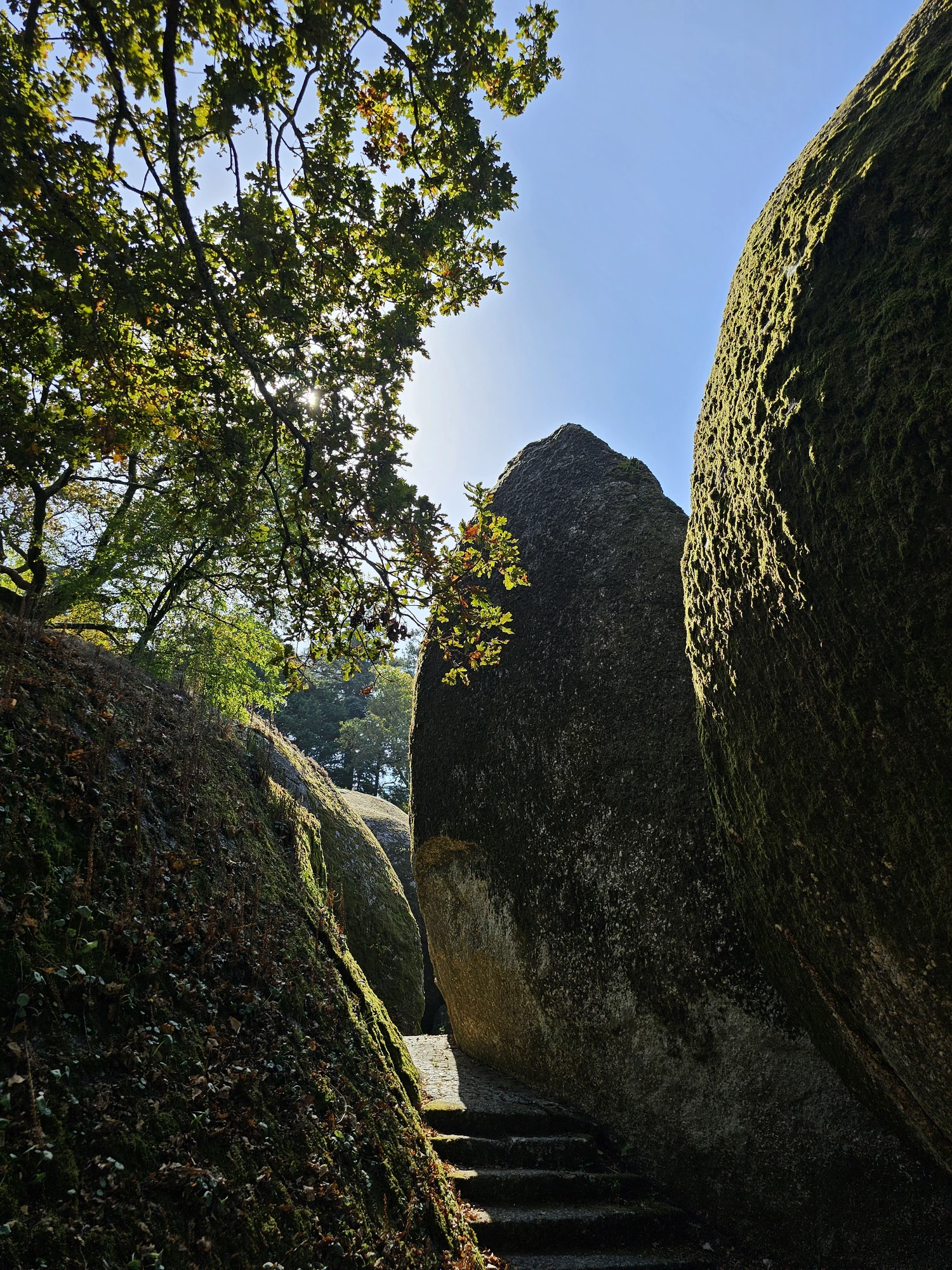 Guimaraes Penha Guimaraes Penha