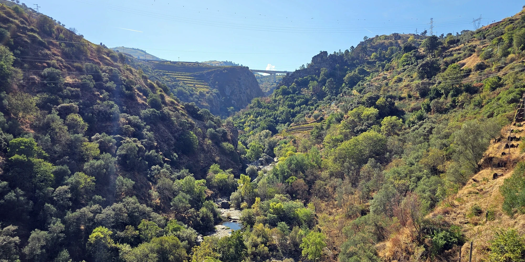 Vandring Lamego Regua