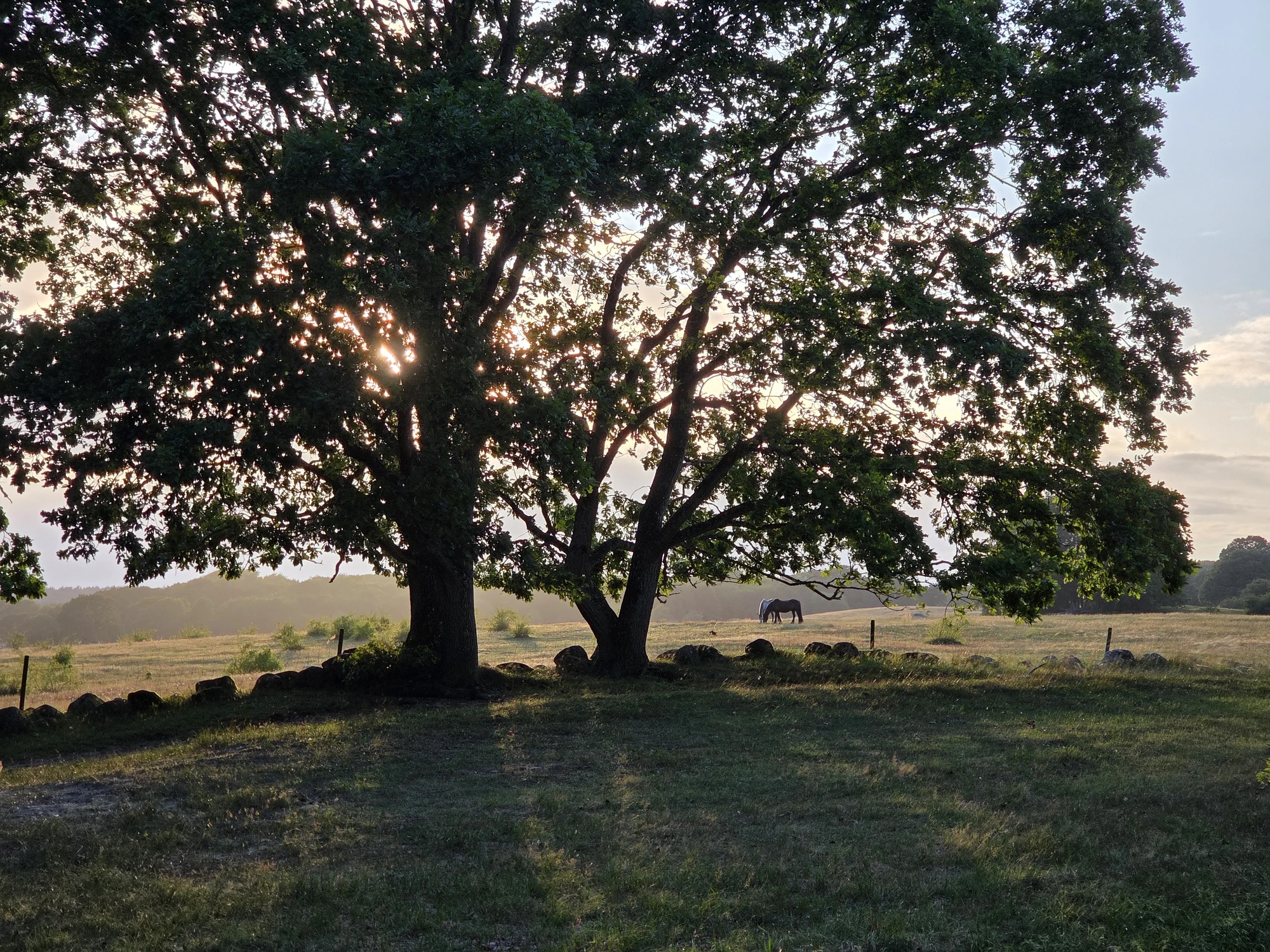 Skåne Augusti