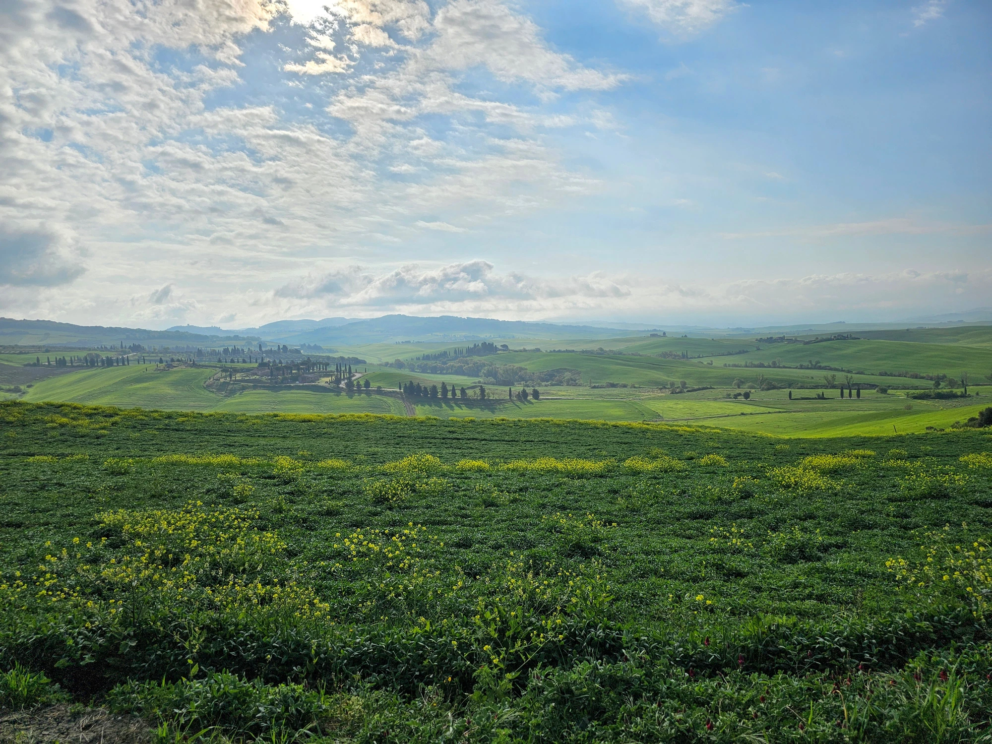 Toscana20260420 123051 001