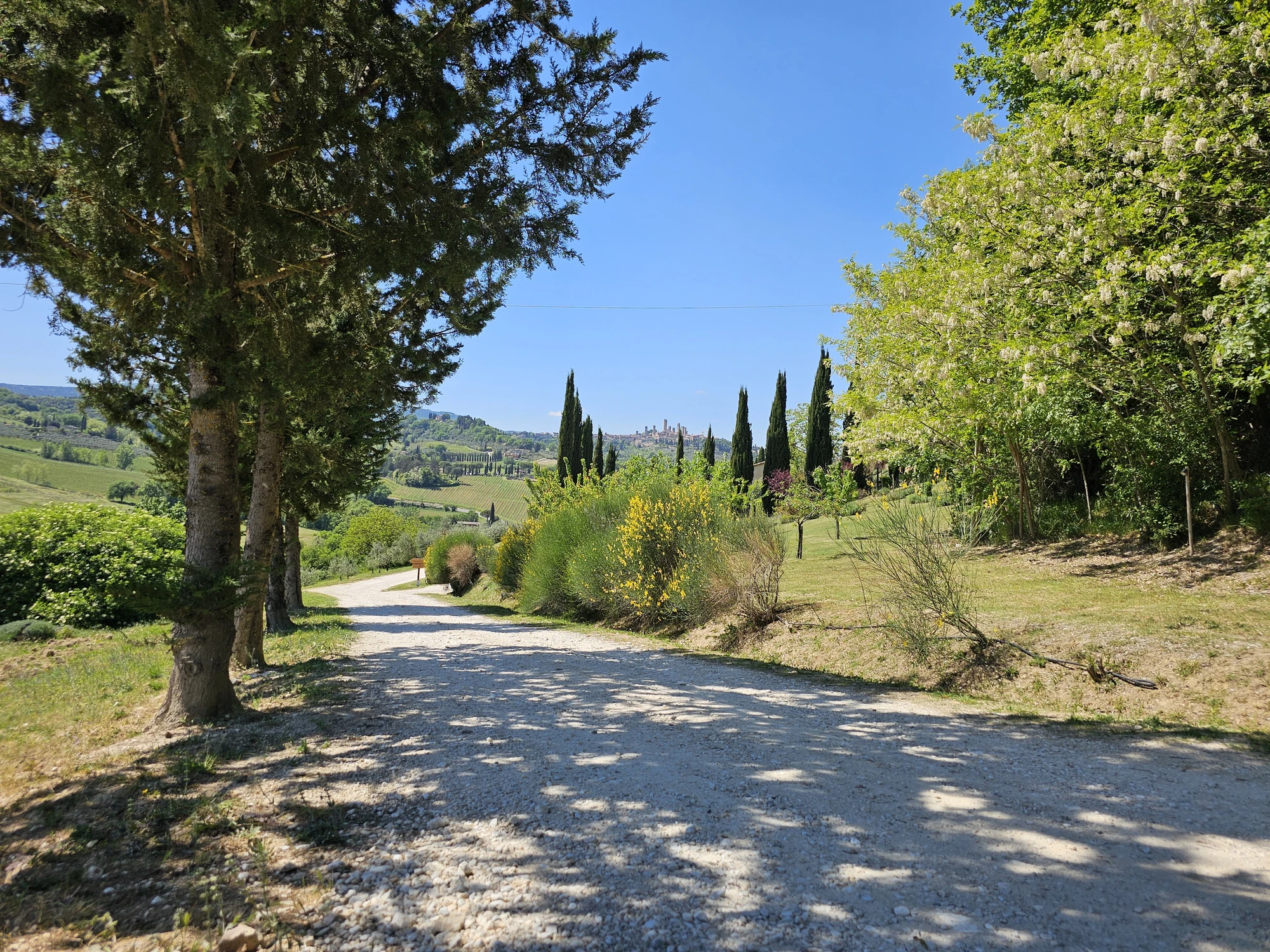 SanGimignano20260427 144133 005