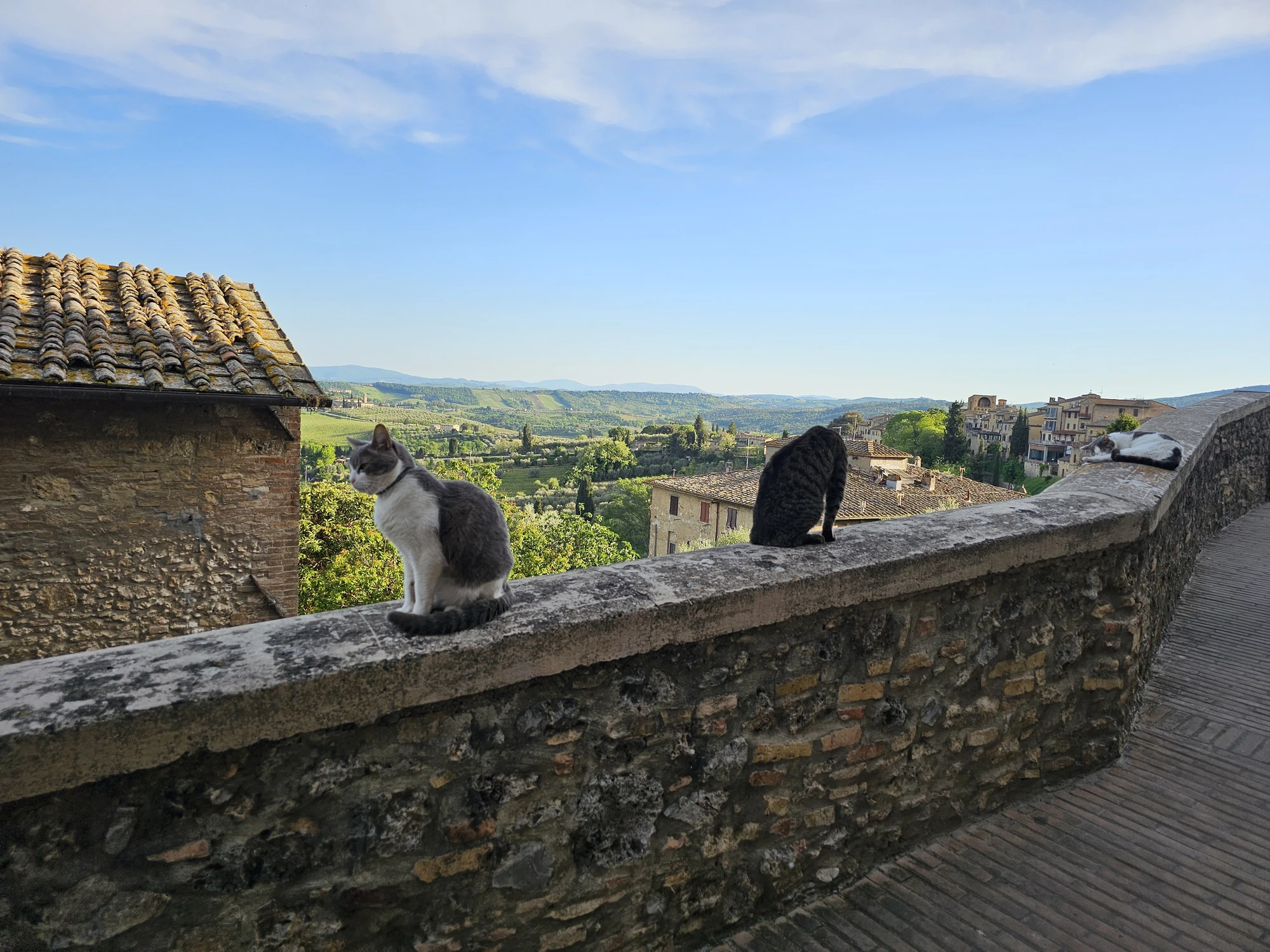 SanGimignano20260427 182919 004