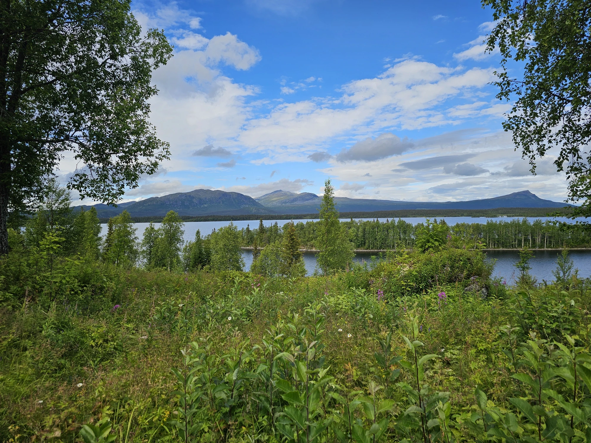 Vy från Saxnäs Vy från Saxnäs