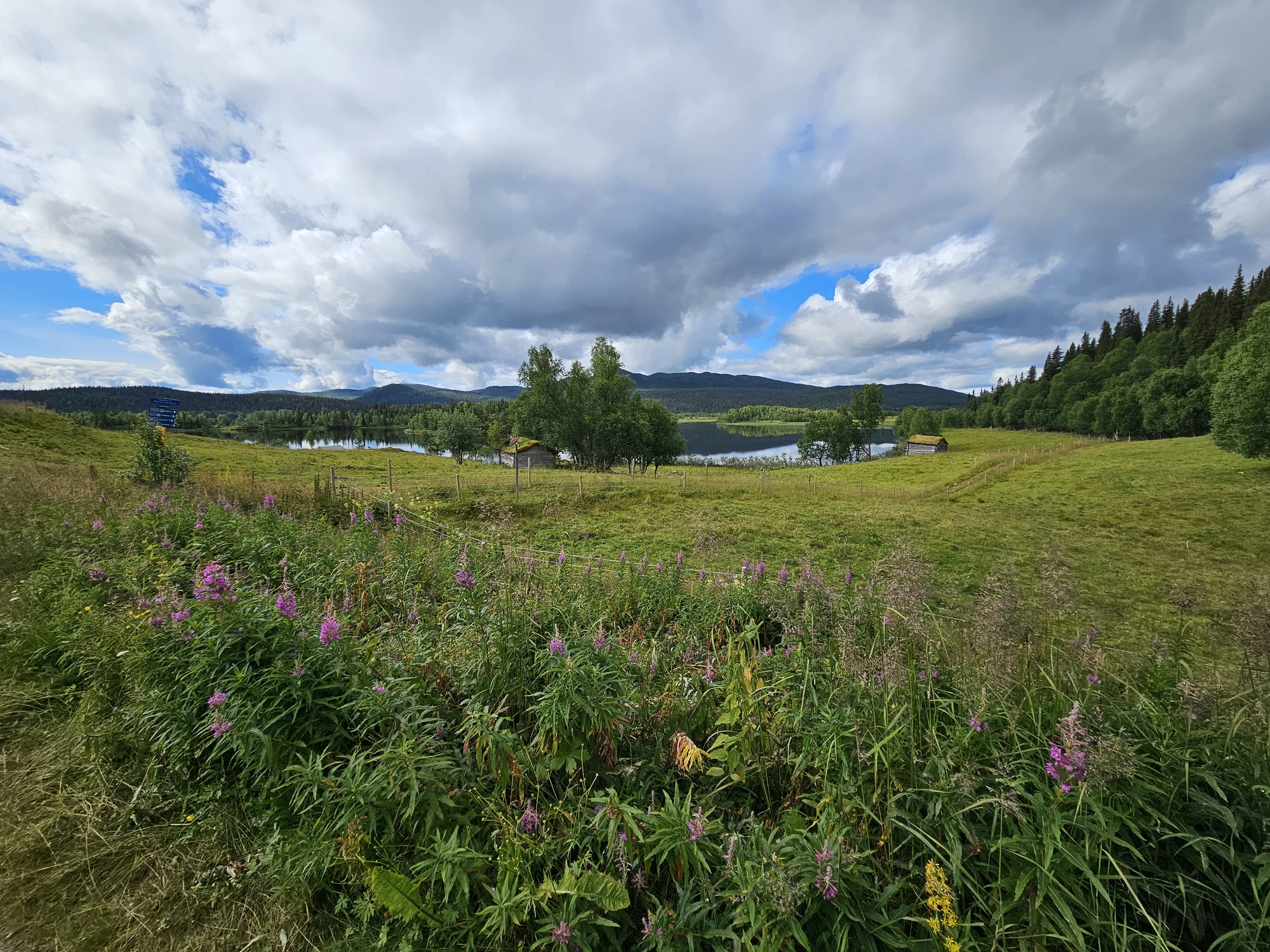 Inledning av vandringen i Bjurälvens Naturreservat Inledning av vandringen i Bjurälvens Naturreservat