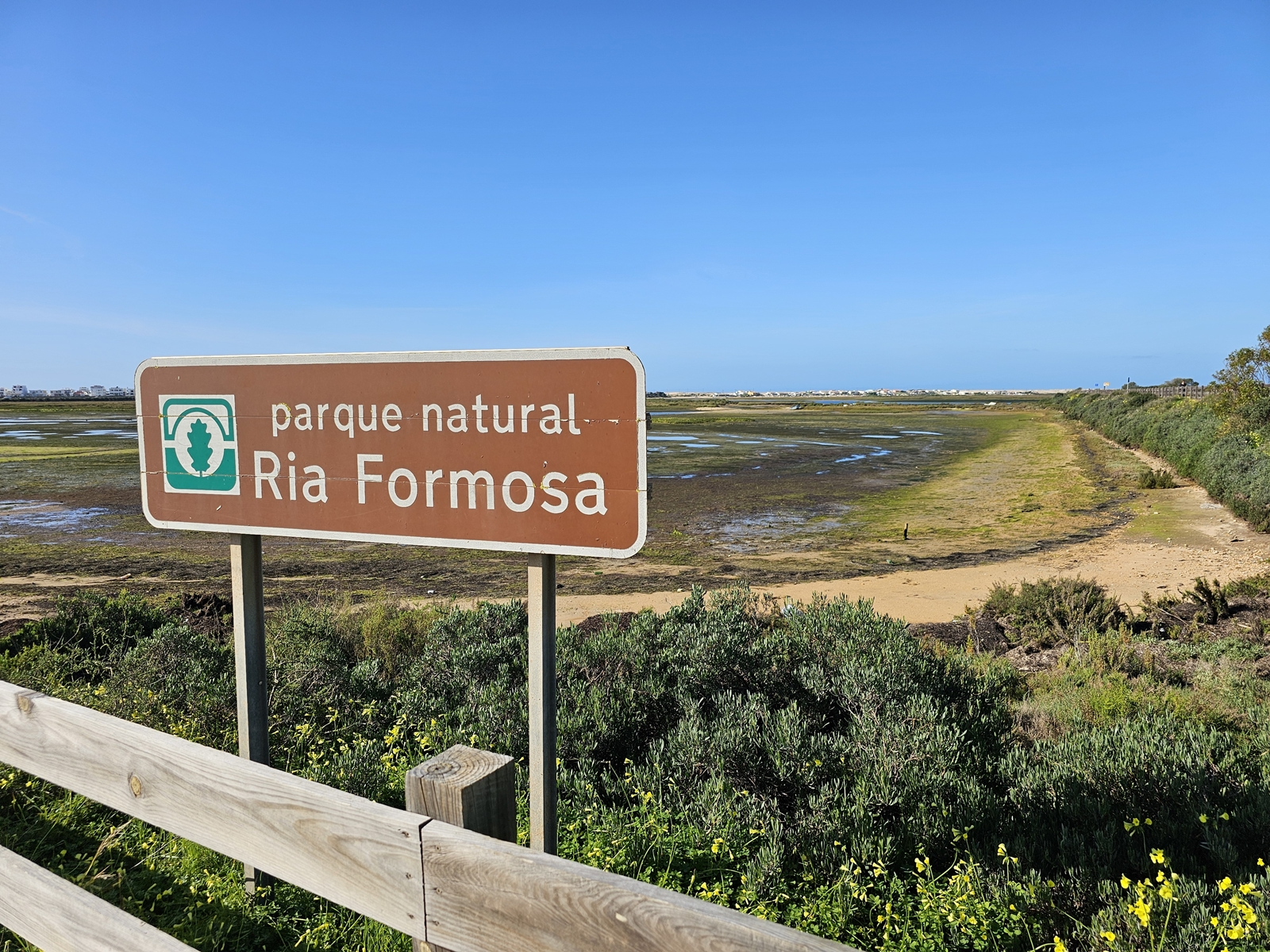 Faro20260215 101501 001