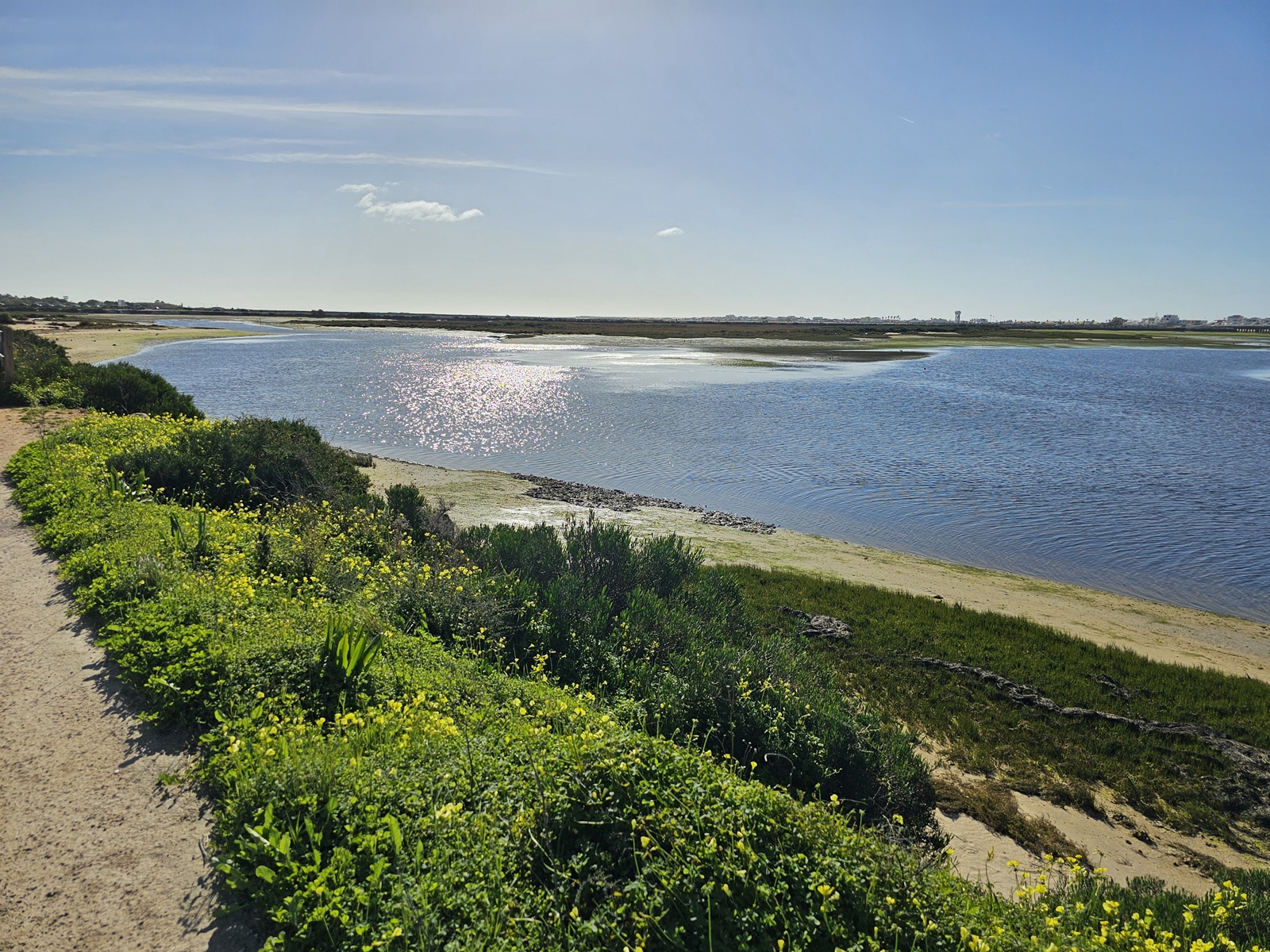 Faro20260215 102242 002