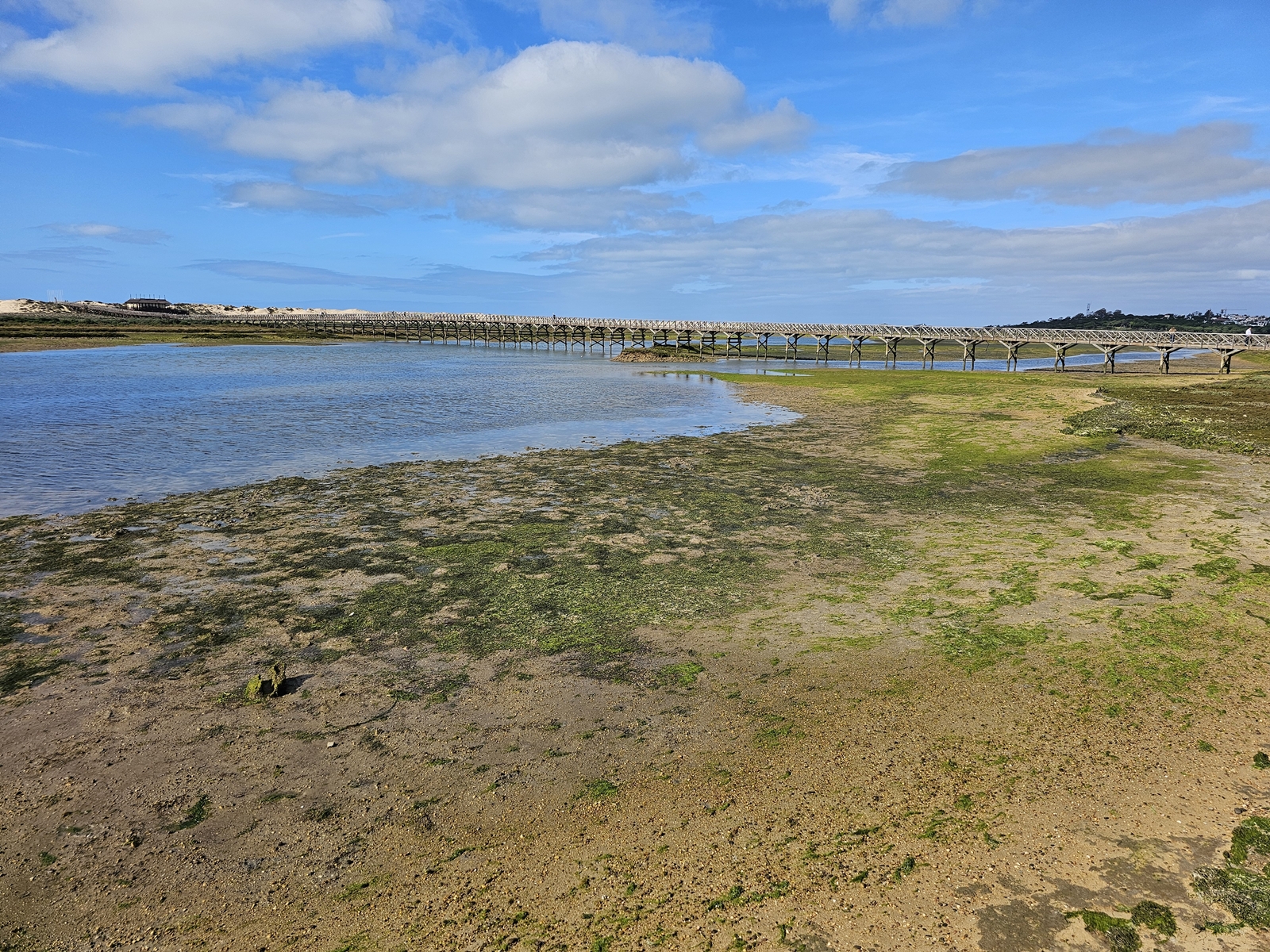 Faro20260215 110534 004