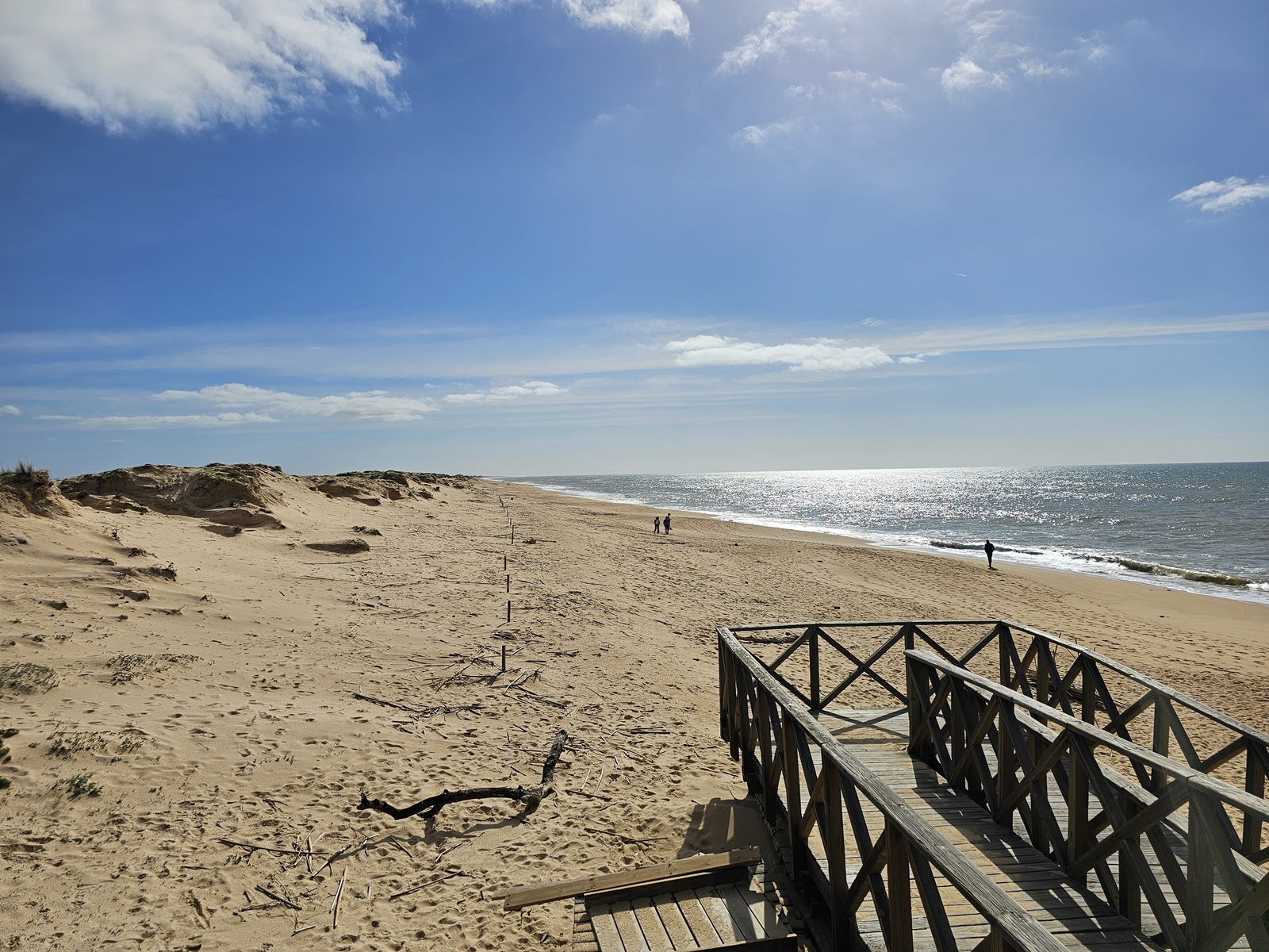 Faro20260215 111526 005