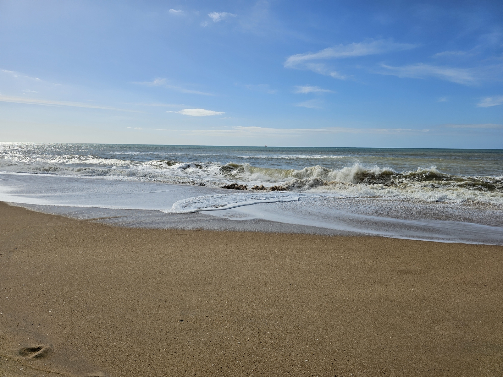 Faro20260215 1128260 007