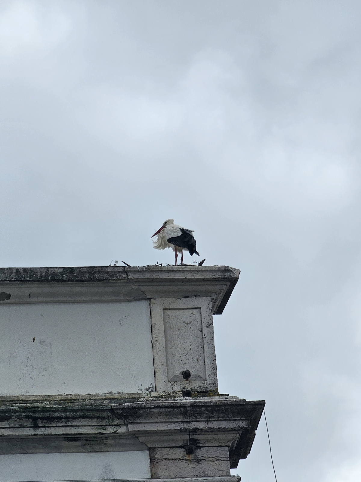 Faro20260216 122741 020