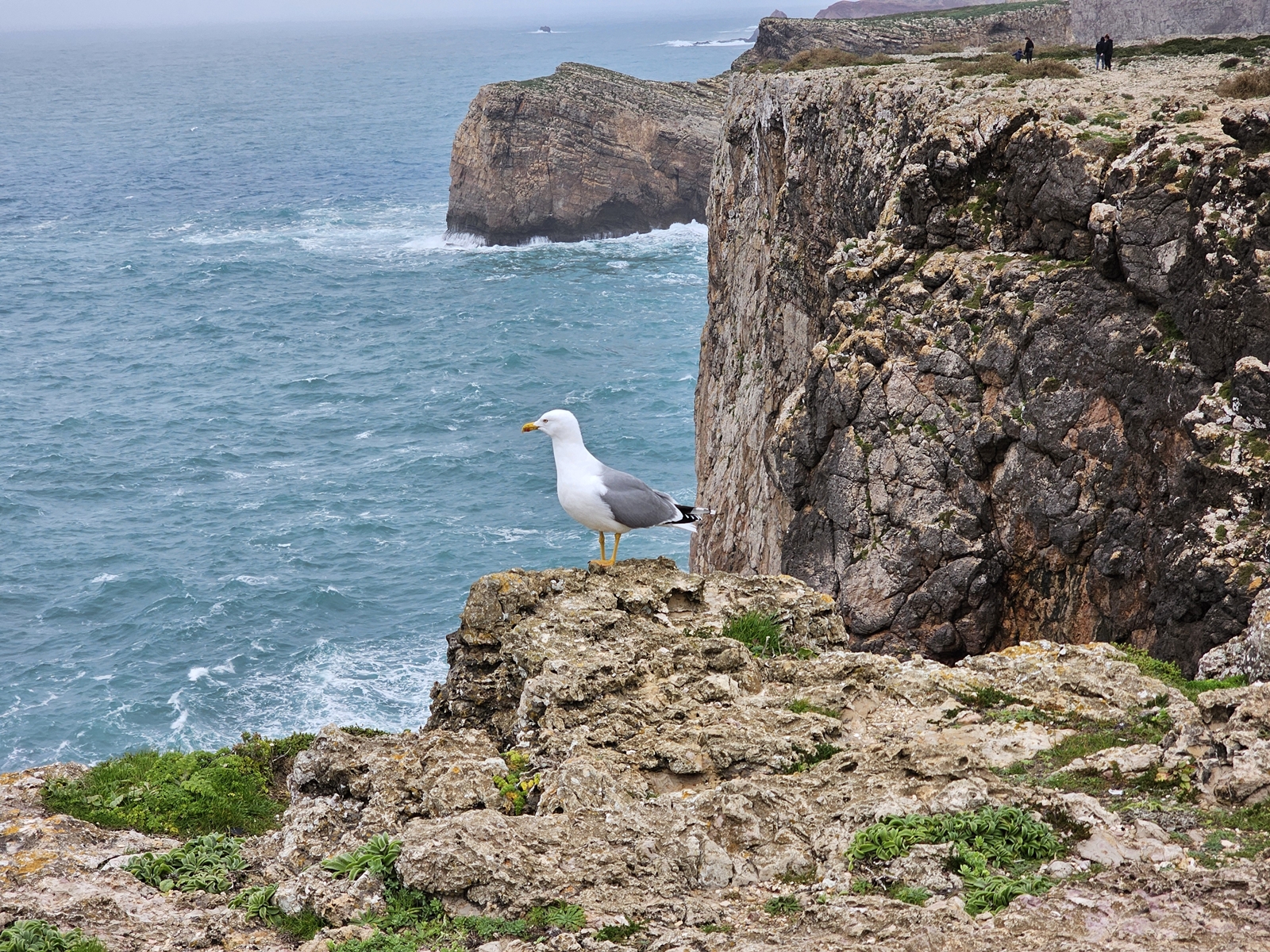 Lagos20260208 145120 012