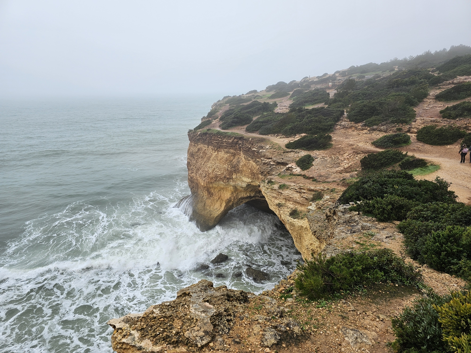 Lagos20260210 102543 018