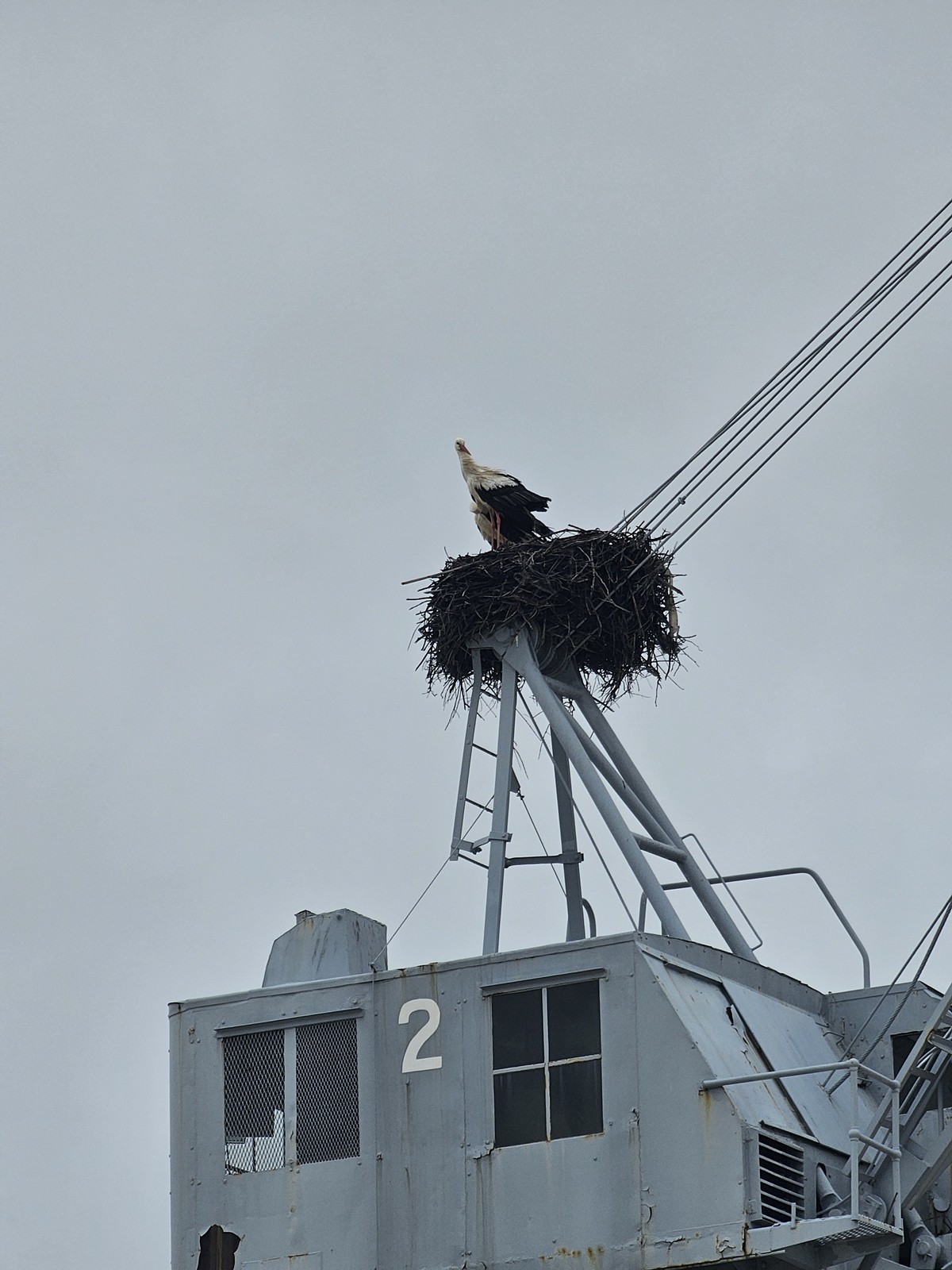 Lagos20260210 145100 021