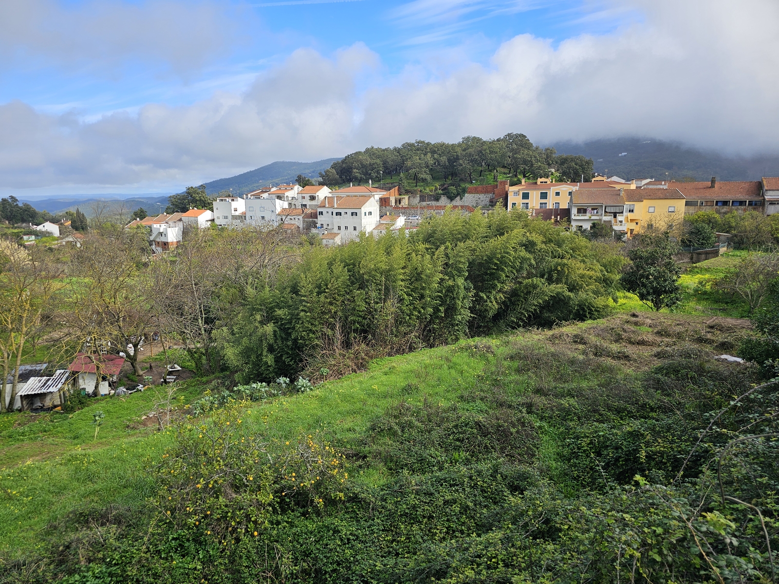 Lagos20260211 141802 027