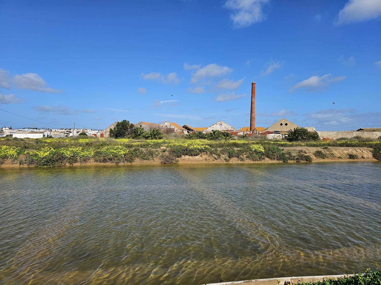 Tavira20260212 114654 002