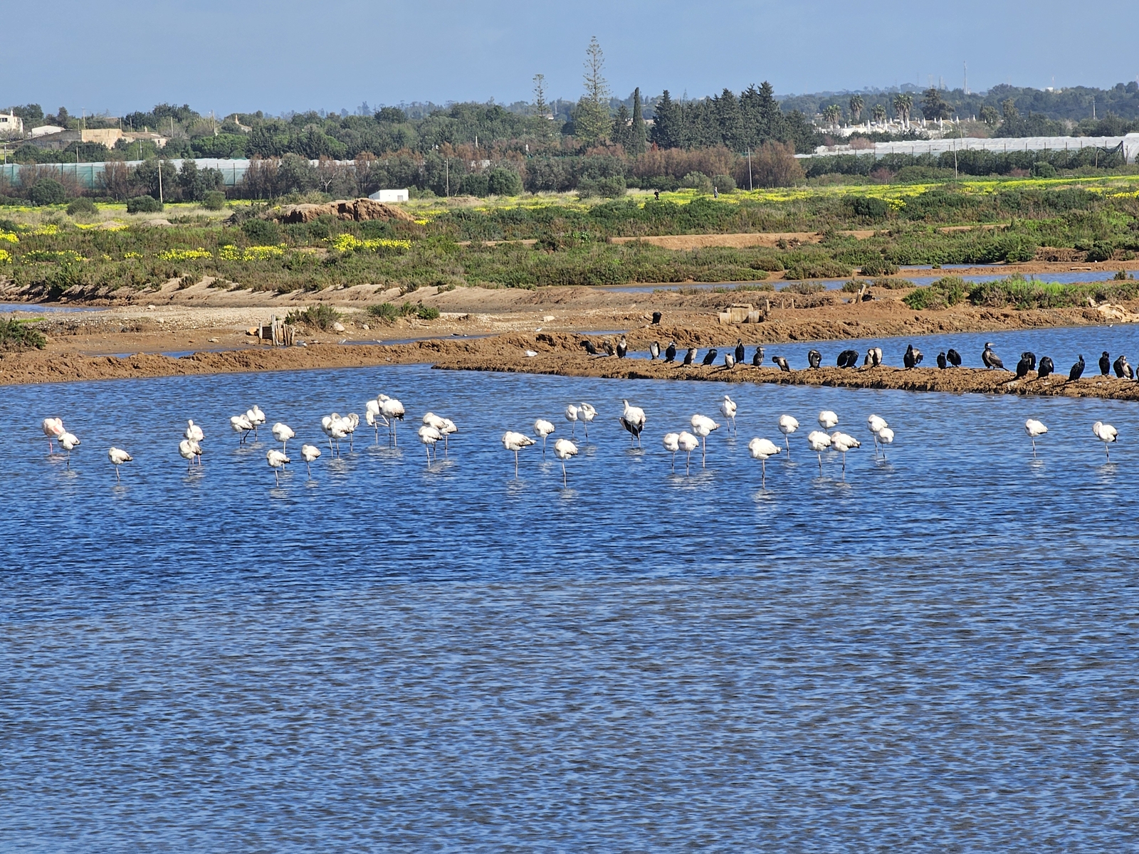 Tavira20260212 115551 003