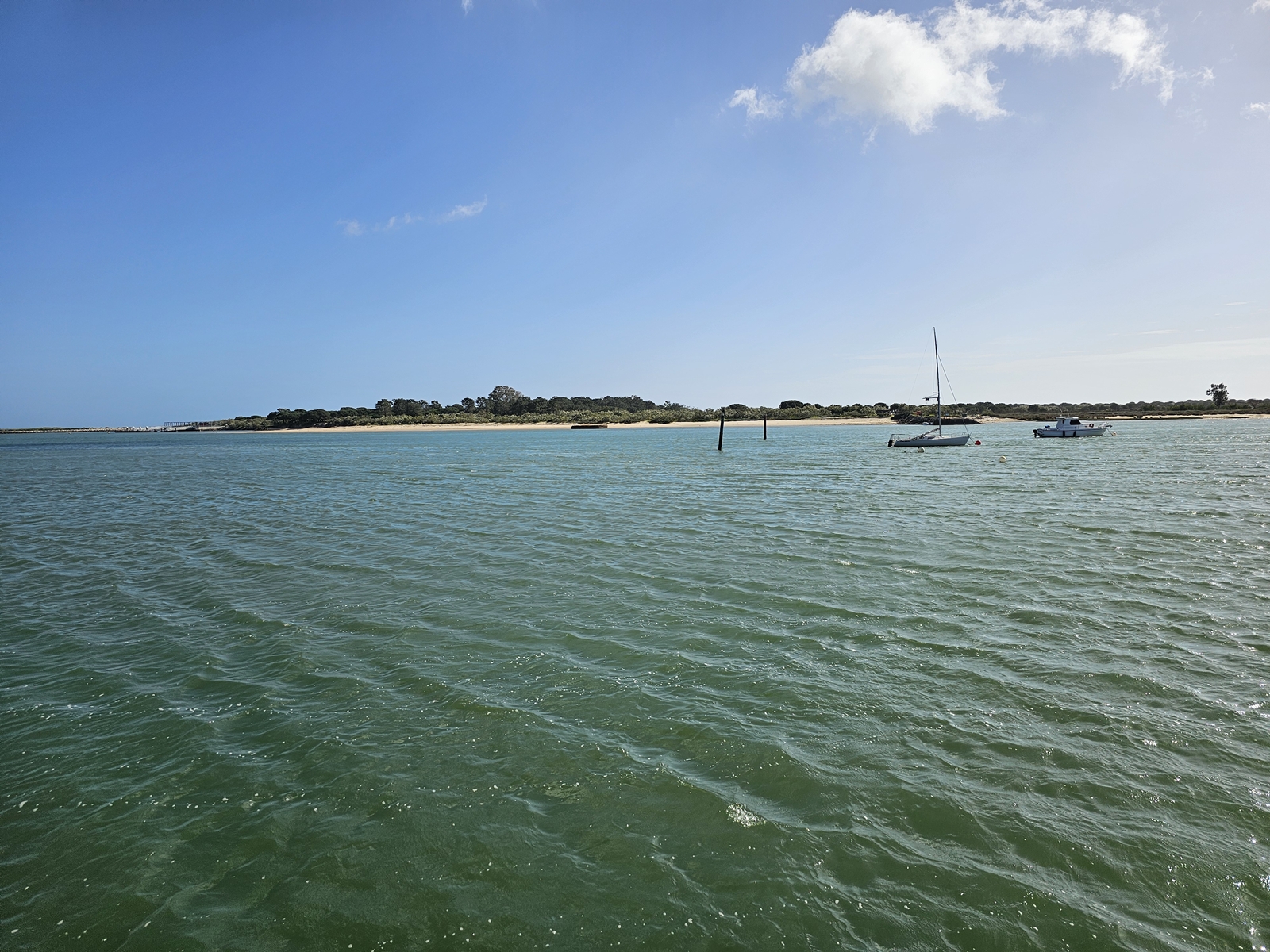 Tavira20260212 125415 004