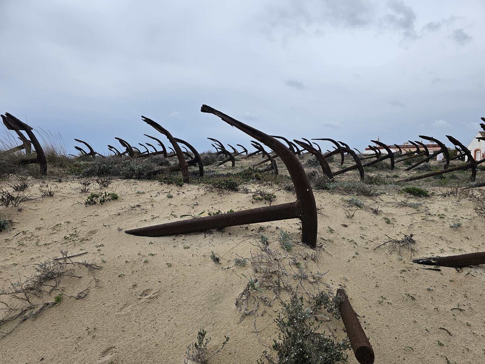 Tavira20260213 124104 013