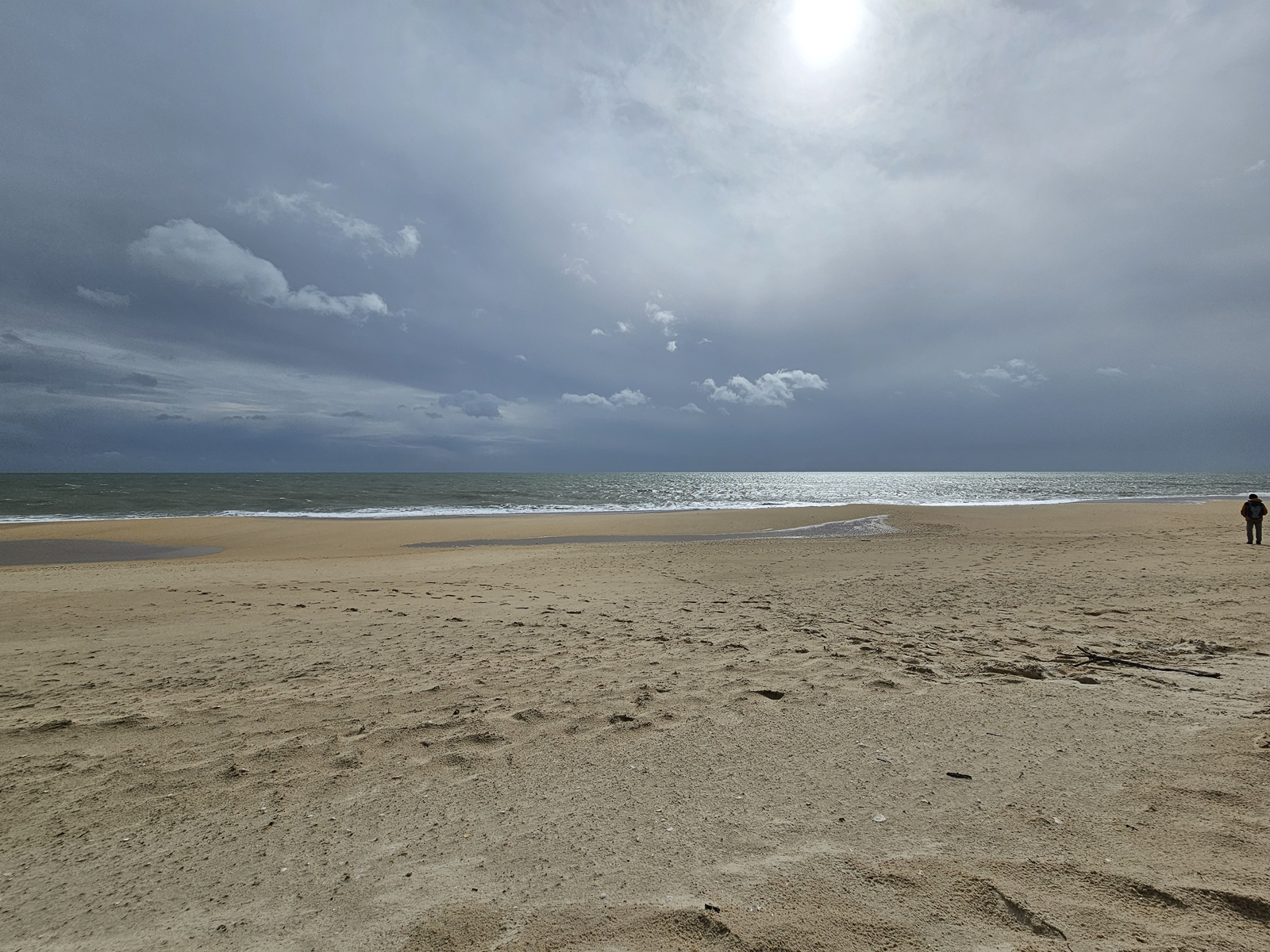 Tavira20260213 125047 014